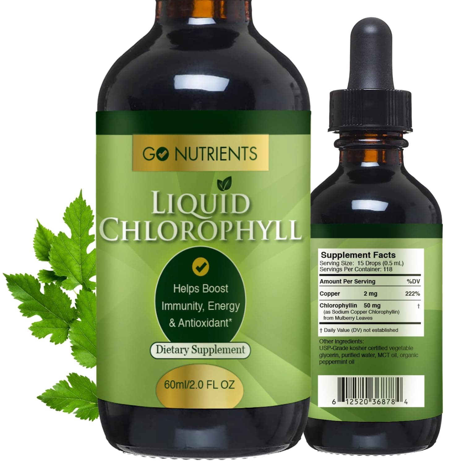 Go Nutrients Liquid Chlorophyll Drops – Organic Mulberry Leaf Extract with Copper – Natural Detox & Internal Deodorant for Women, Men & Kids – Non-GMO, Vegan, Mint Flavor, 2 oz Glass Bottle