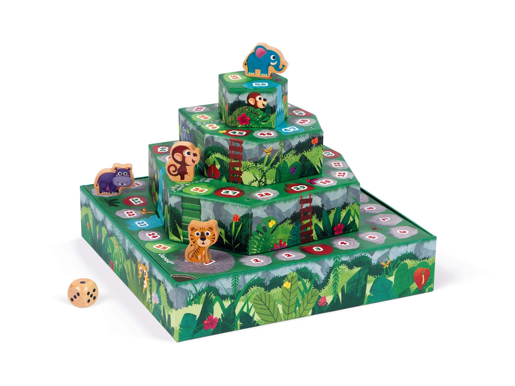 Racing Board Game - Jungle!