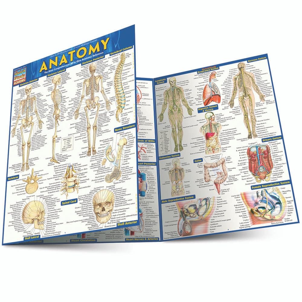 QuickStudy Anatomy - Reference Guide