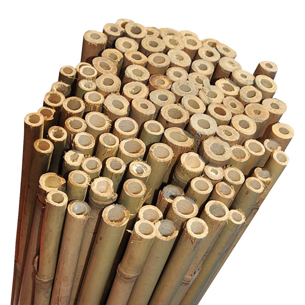 Elixir Gardens Strong Heavy Duty Professional Bamboo Plant Support Garden Canes | All lengths in stock 2, 3, 4, 5, 6, 7 & 8ft | Choose from a range of pack sizes from 10 to 250 | 8ft x 10