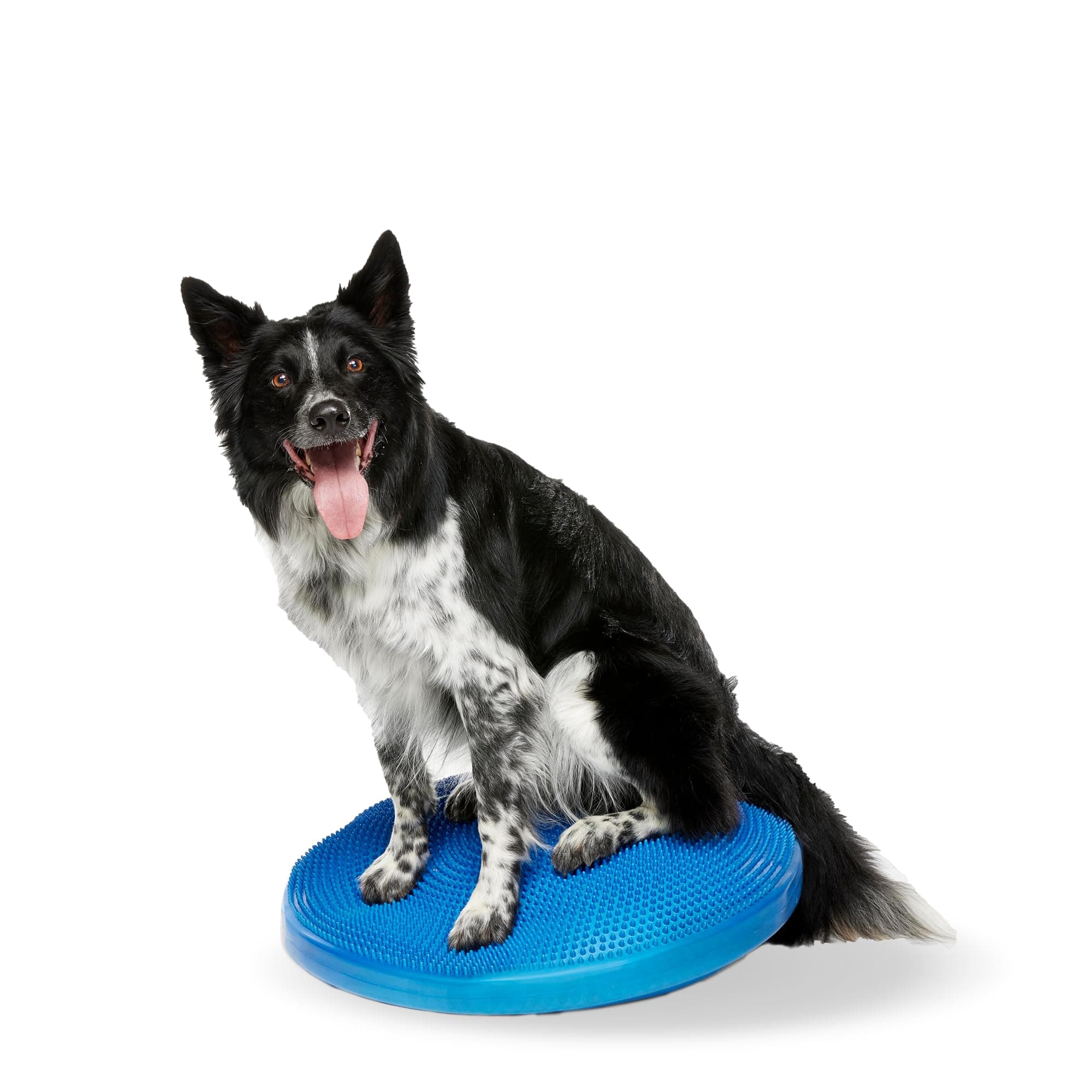 Ball Dynamics FPAWSBD 22 FitPAWS Balance Disc, 56 cm, Blue