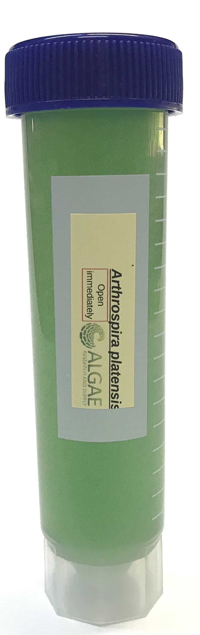 Algae Research Supply Algae Culture Spirulina, Perfect for School Science Fairs/Projects, Experiments & Classrooms (50mL)
