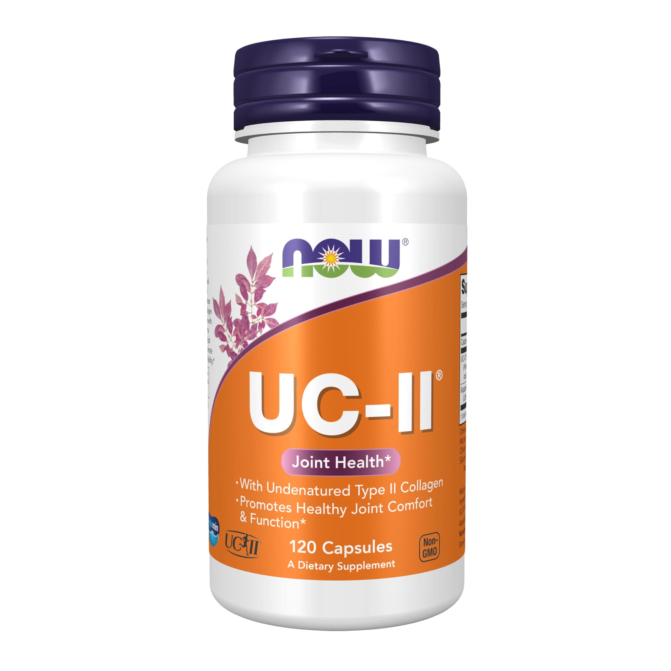 NOW UC-II Type II Collagen,120 Capsules