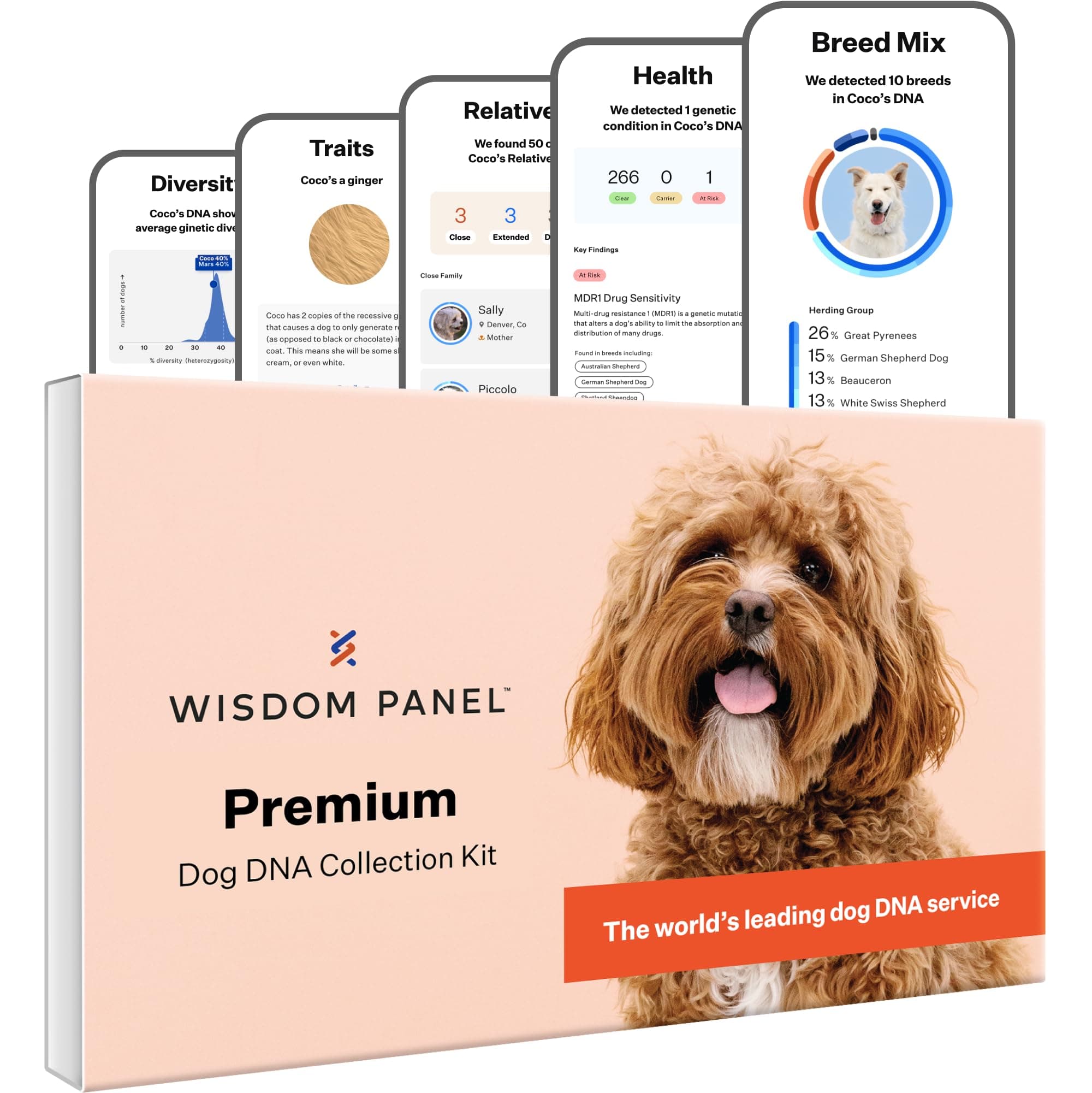 Panel Premium Dog DNA Kit: Most Comprehensive with 265+ Health Tests, Identify 365+ Dog Breeds, 50+ Traits, Relatives, Ancestry, Genetic Diversity - Pack of 1