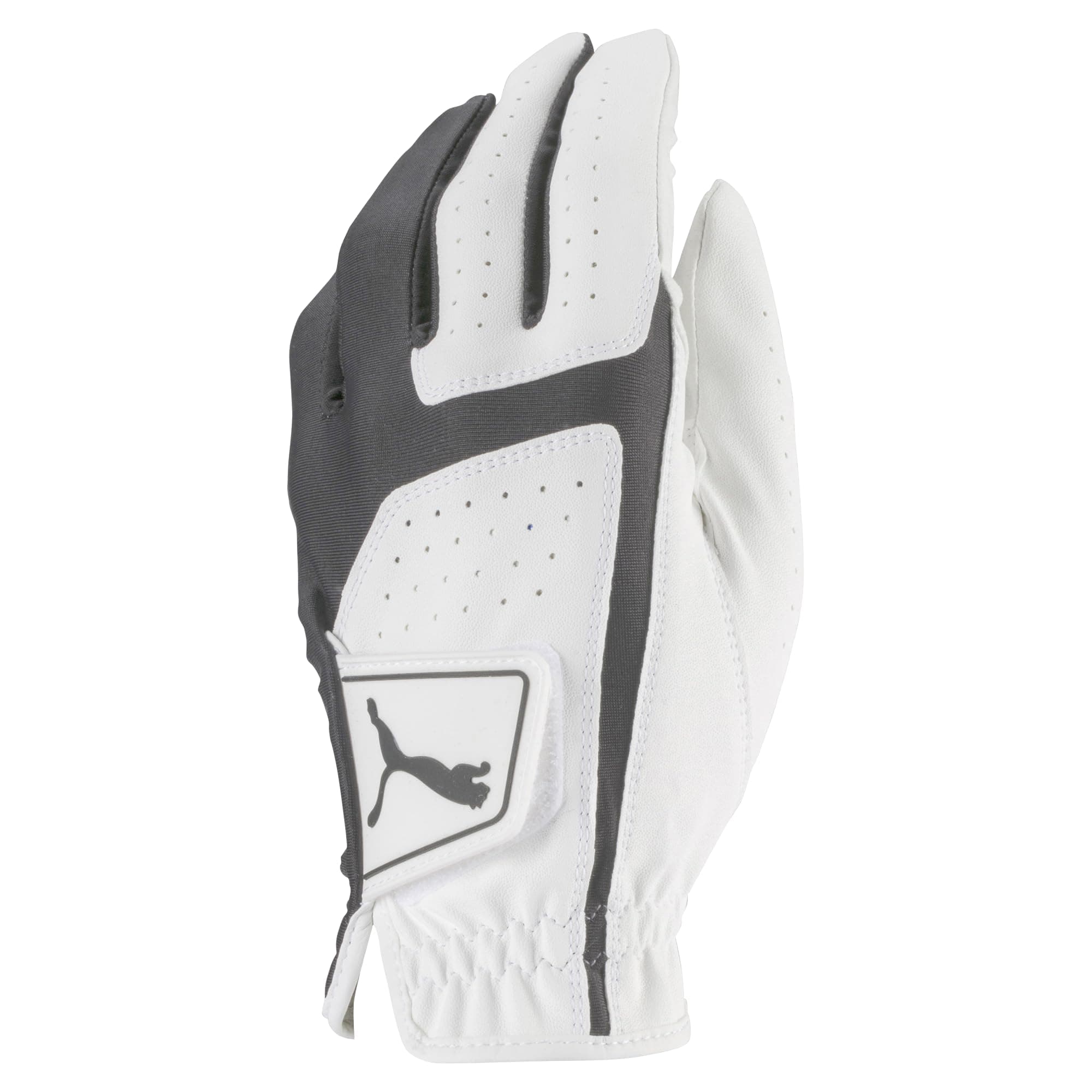 PUMA Flexlite Golf Men's Golf Gloves 2018 Large Grey