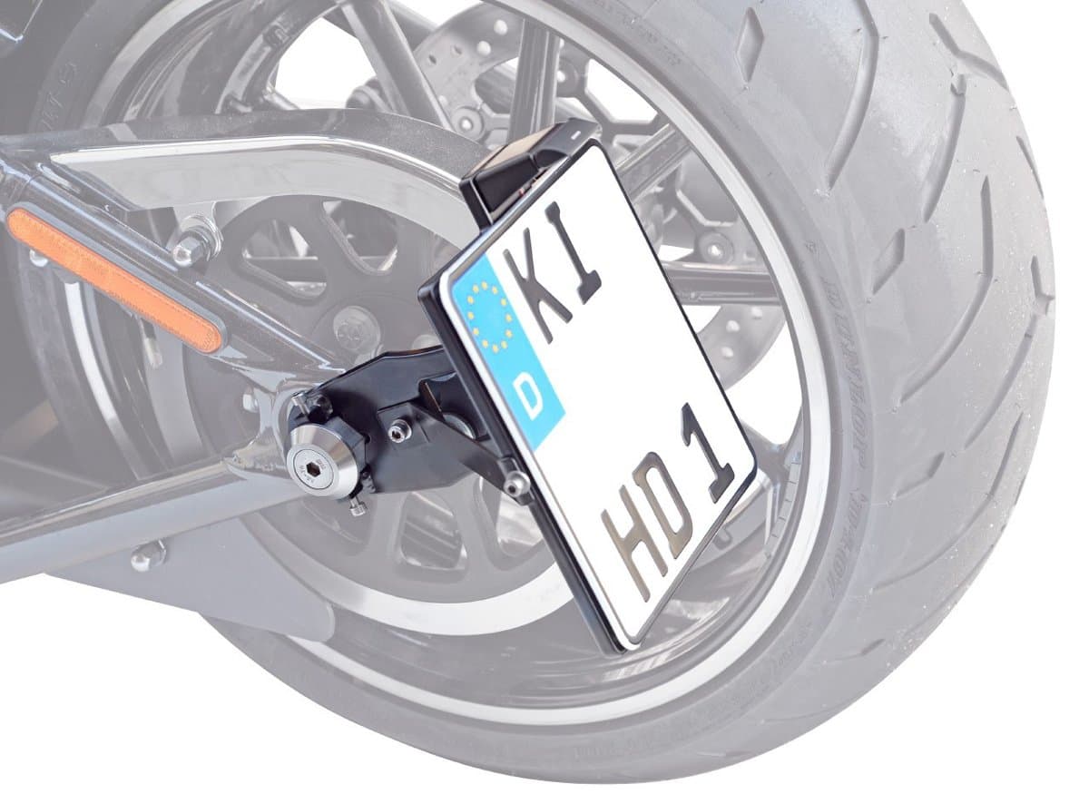 Side Plate Holder 180 x 200 mm for Harley Davidson Softail Special (FLSTFB Flstfbs with TÜV Certified, LED Licence Plate Lights and Installation Materials
