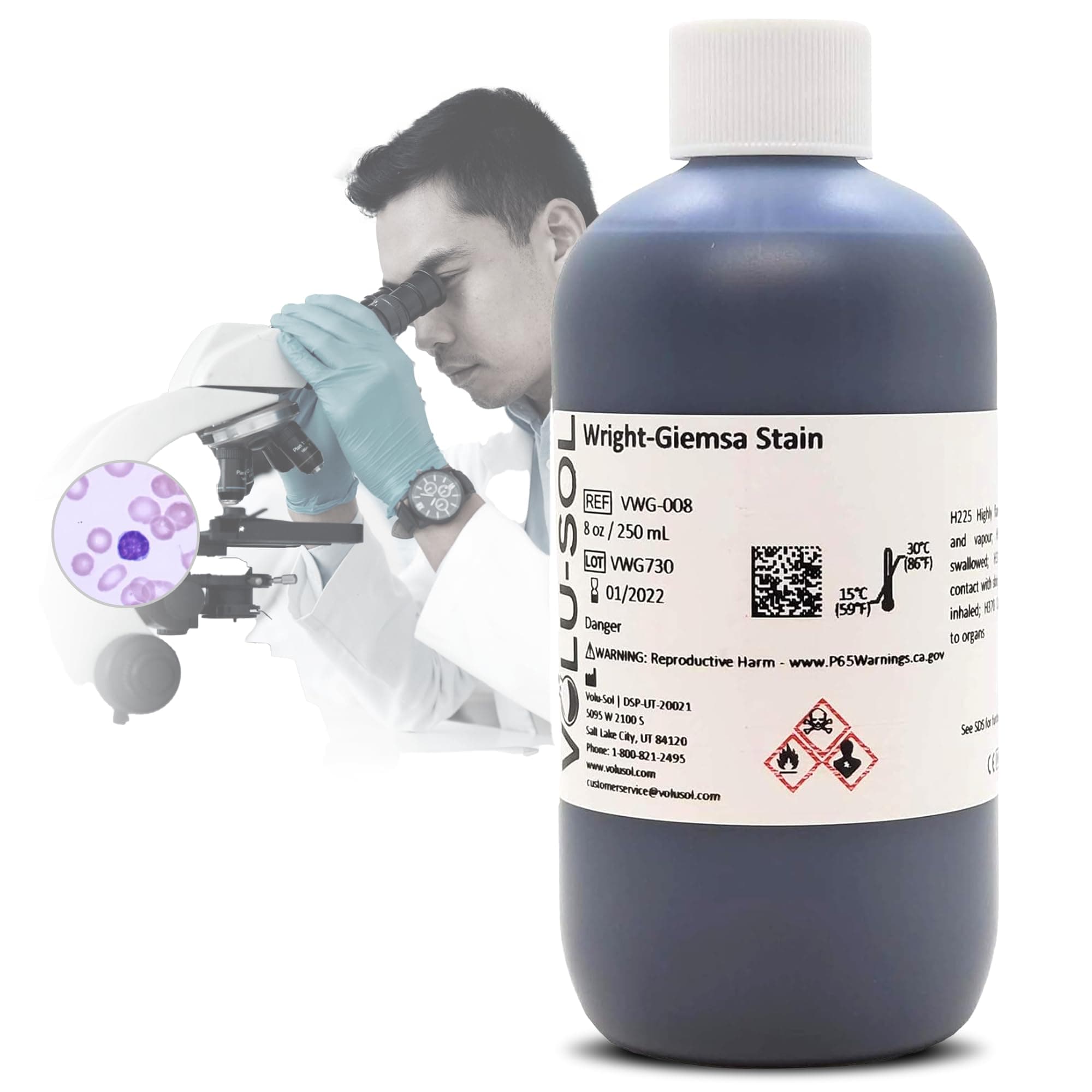Wright-Giemsa Stain - Professional Hematology Stain for Blood Smears - Explore Cell Morphology and Conduct Differential WBC Counts with Precision (250 mL / 8 oz.)