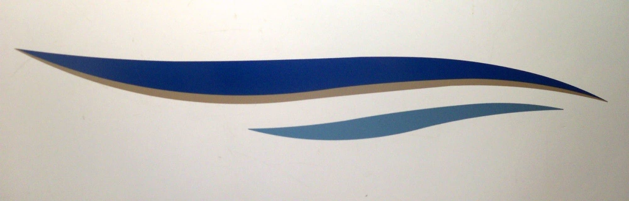 2 Rv Trailer Keystone Bobcat Graphic Decals-1411