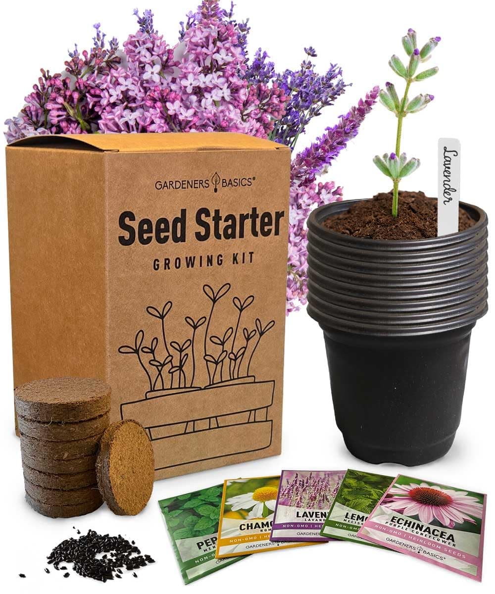 Tea Growing Kit - Includes Medicinal Lavender, Chamomile, Lemon Balm, Peppermint and Echinacea Heirloom Garden Seeds, Grow Pots, Soil, Plant Markers, Indoor Herb Kit Outdoor Tea Garden Kit