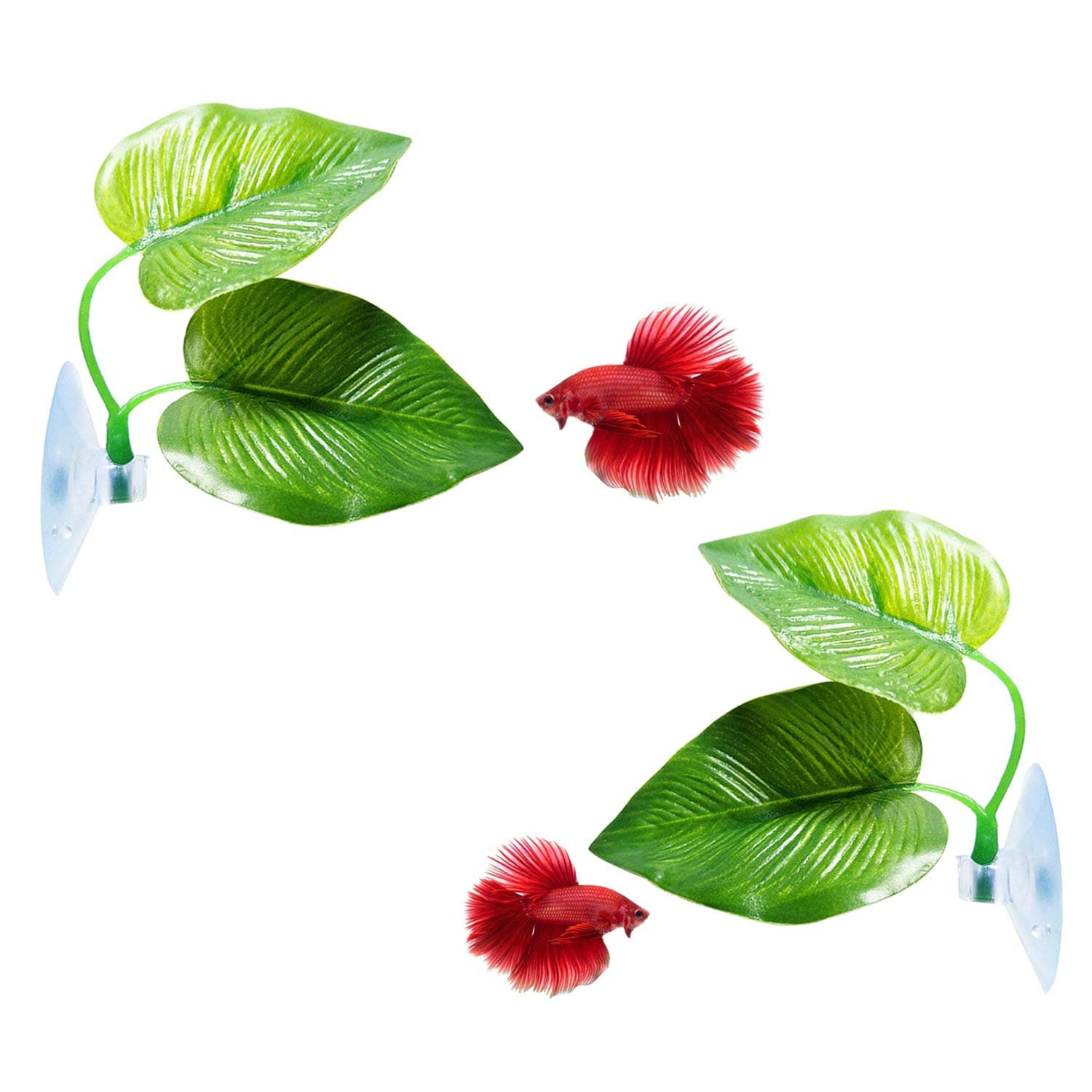 CousDUoBe 2 Pack Betta Fish Leaf Pad Improves Betta's Health by Simulating The Natural Habitat - Natural, Organic, Comfortable Rest Area for Fish Aquarium Ornaments