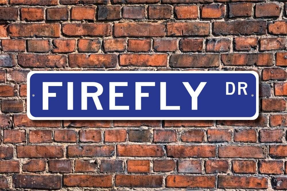 HOUVSSEN Firefly, Firefly Gift, Firefly Sign, Firefly Decoration, Firefly Lover, Firefly Expert, Lightning Bug Street Sign Tin Street Sign Metal Sign6x16inch