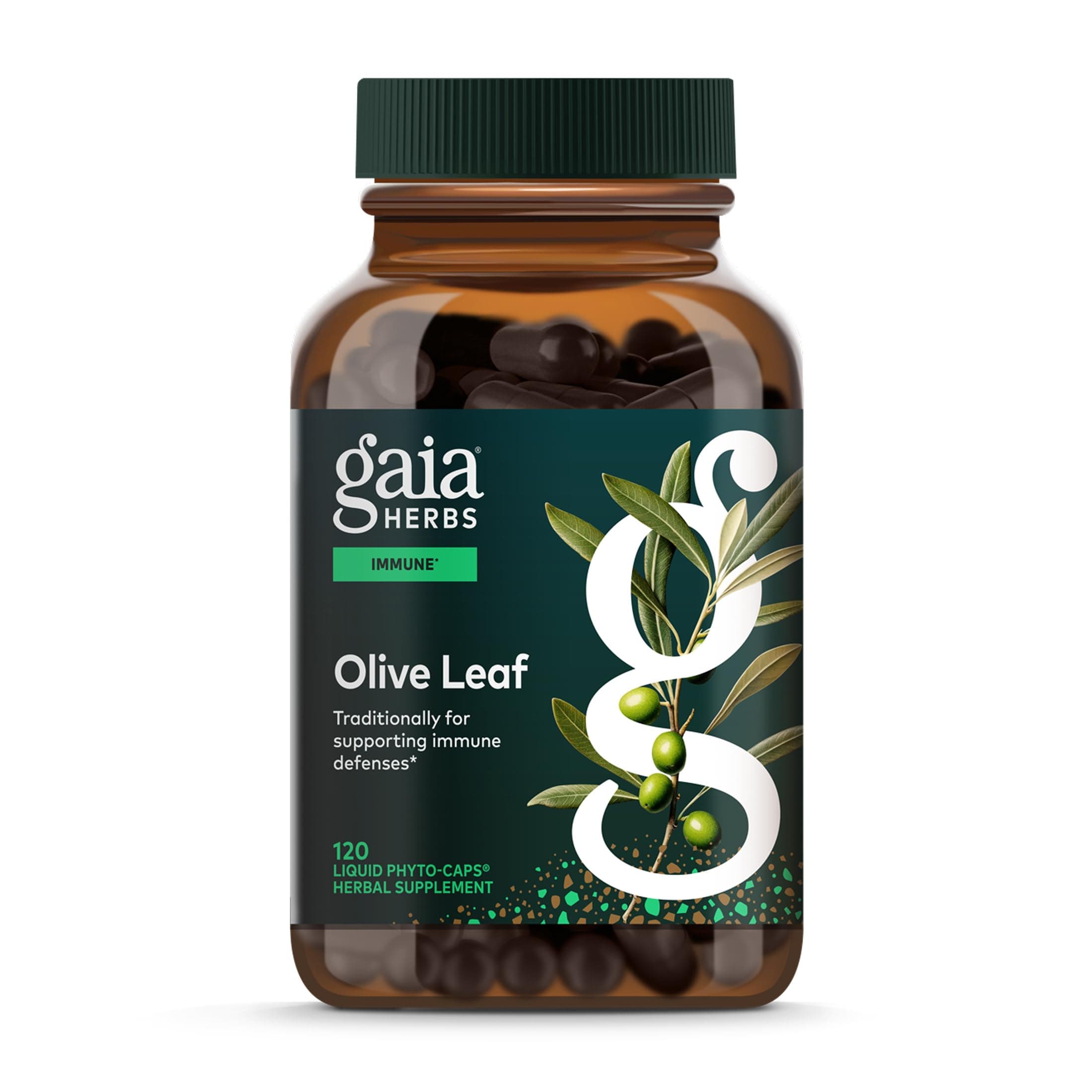 Gaia Herbs Olive Leaf - Traditional Immune Health Support - Immune System Supplement with Olive Leaf Extract & Oleuropein* - 120 Vegan Liquid Phyto-Caps (120 Servings)