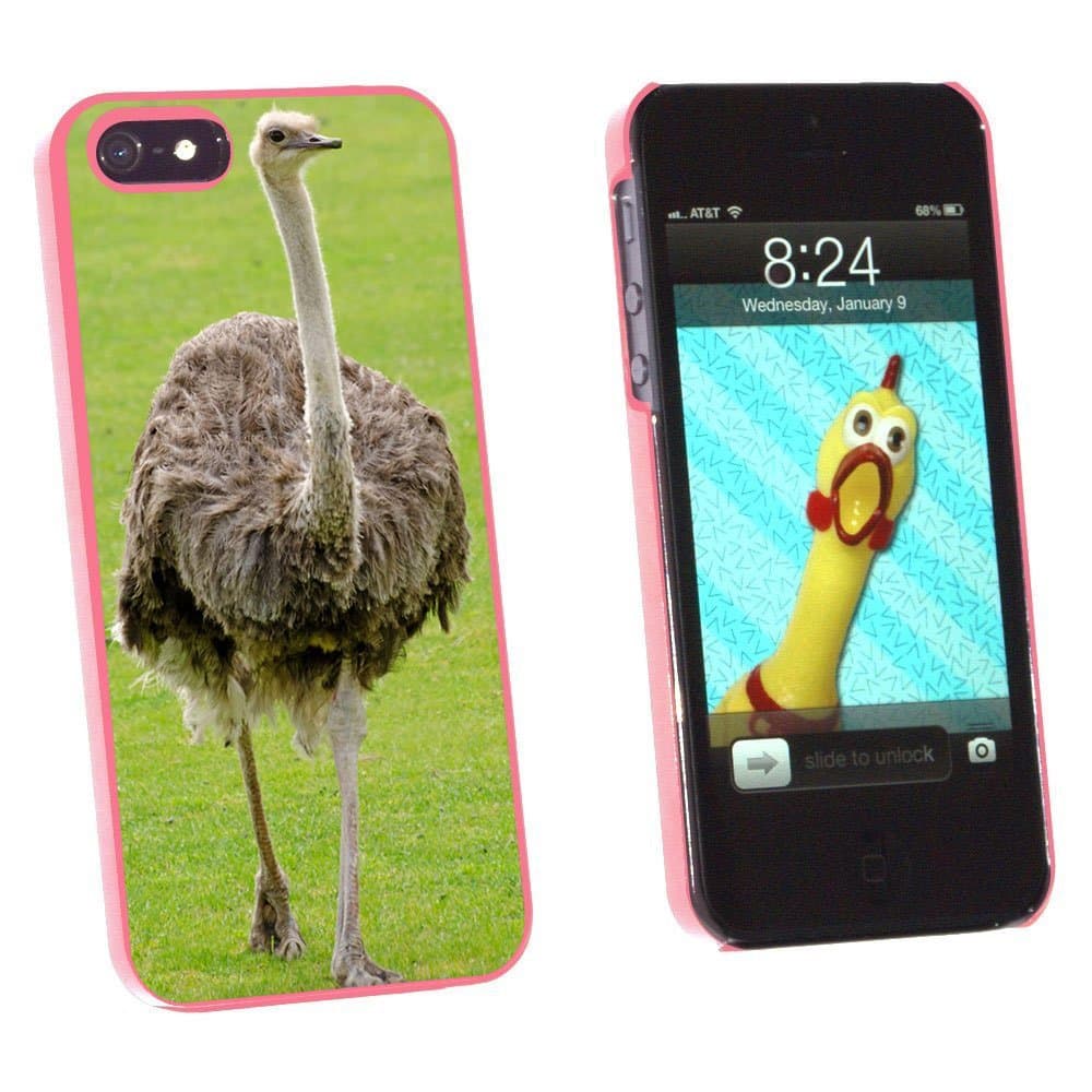 Graphics and More Emu Ostrich Bird Snap-On Hard Protective Case for Apple iPhone 5/5s - Non-Retail Packaging - Pink