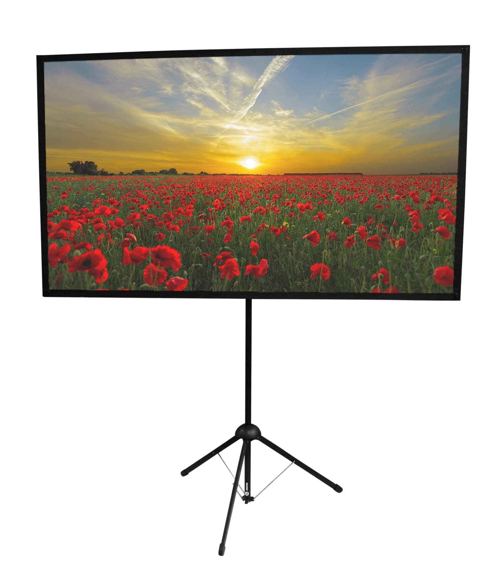 GO-70 Portable Projector Screen | 70 inch | Mounts on Tripod AND Wall | 16:9 format | 9 lbs | 2 minute setup | Includes Carrying Bag | For Mobile presentation and Home Entertainment |4K Ultra HD ready