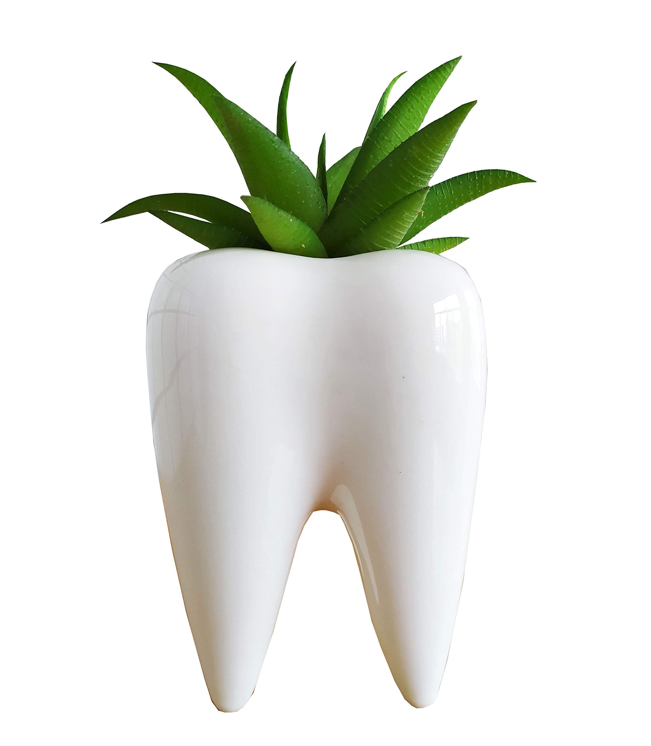 Cuteforyou 3.95 inch Cute Tooth Shaped Ceramic Succulent Cactus Flower Pot-Plants Not Included (White)