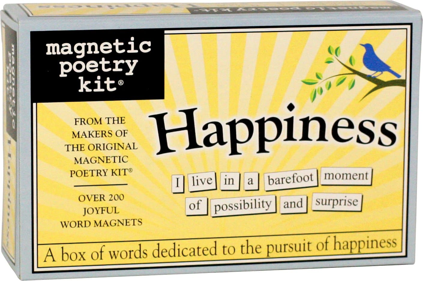 Happiness-Magnetic Poetry Kit
