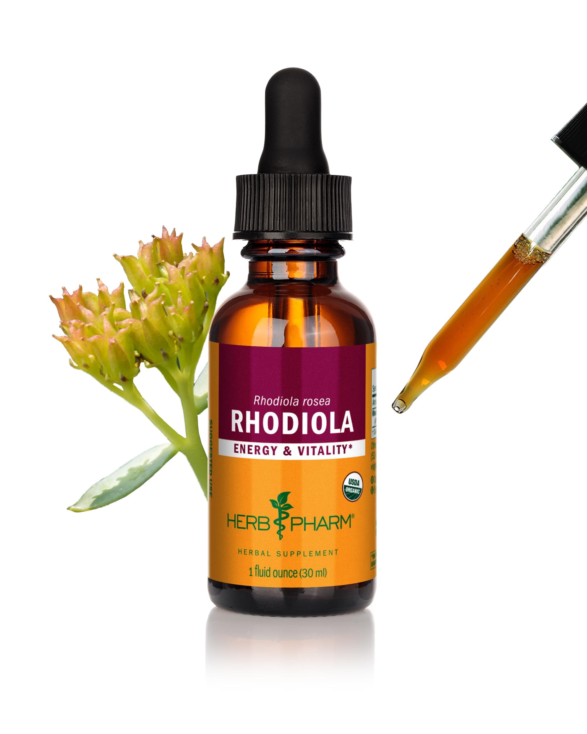 Rhodiola Extract, 1 Fl Oz