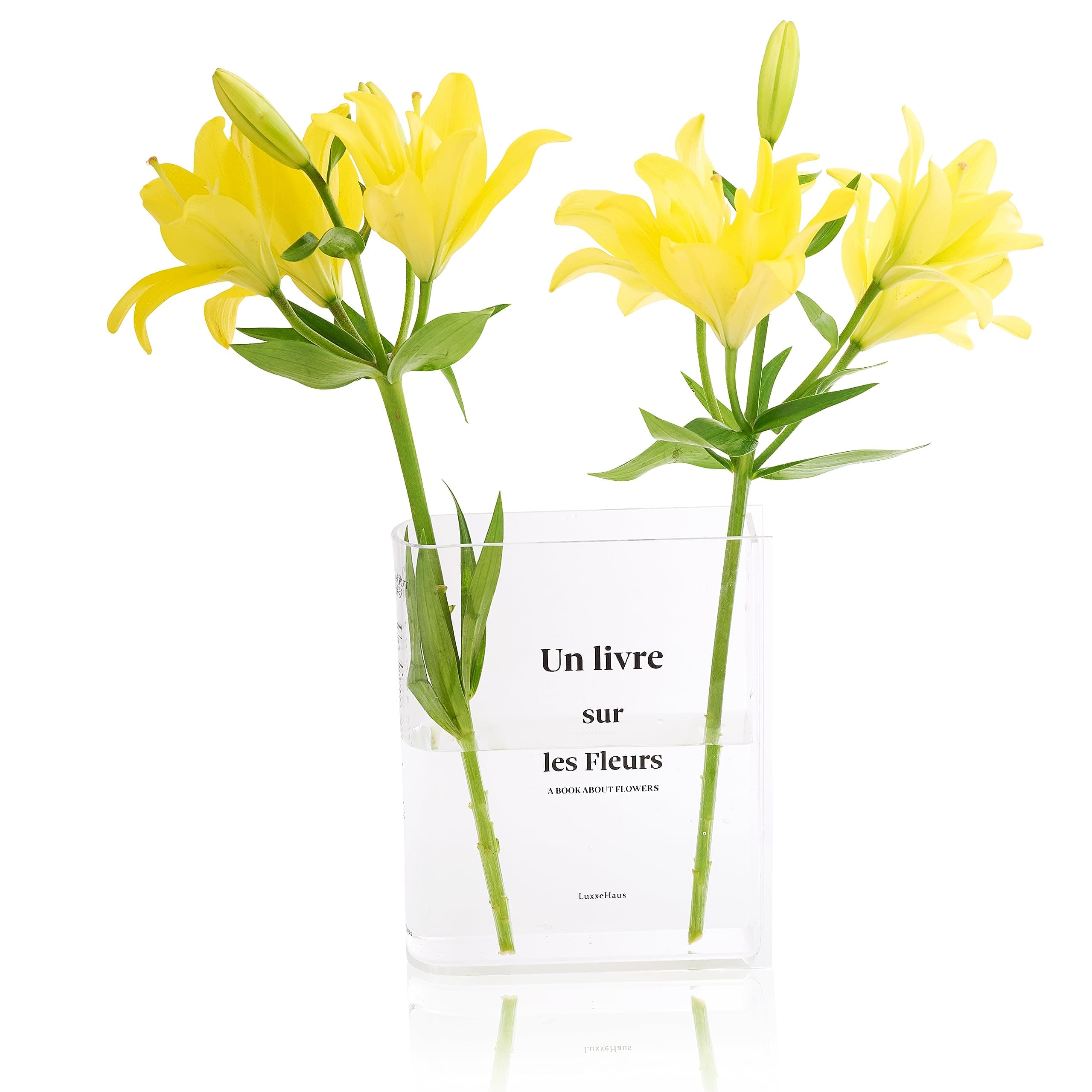 Acrylic Book Vase for Flowers - Clear Book Shaped Vase - Shatterproof Transparent Flower Vase for Bookshelf Decor - Bibliophile Gift for Book Lovers - Home Office Bedroom Centrepiece - Luxxe Haus