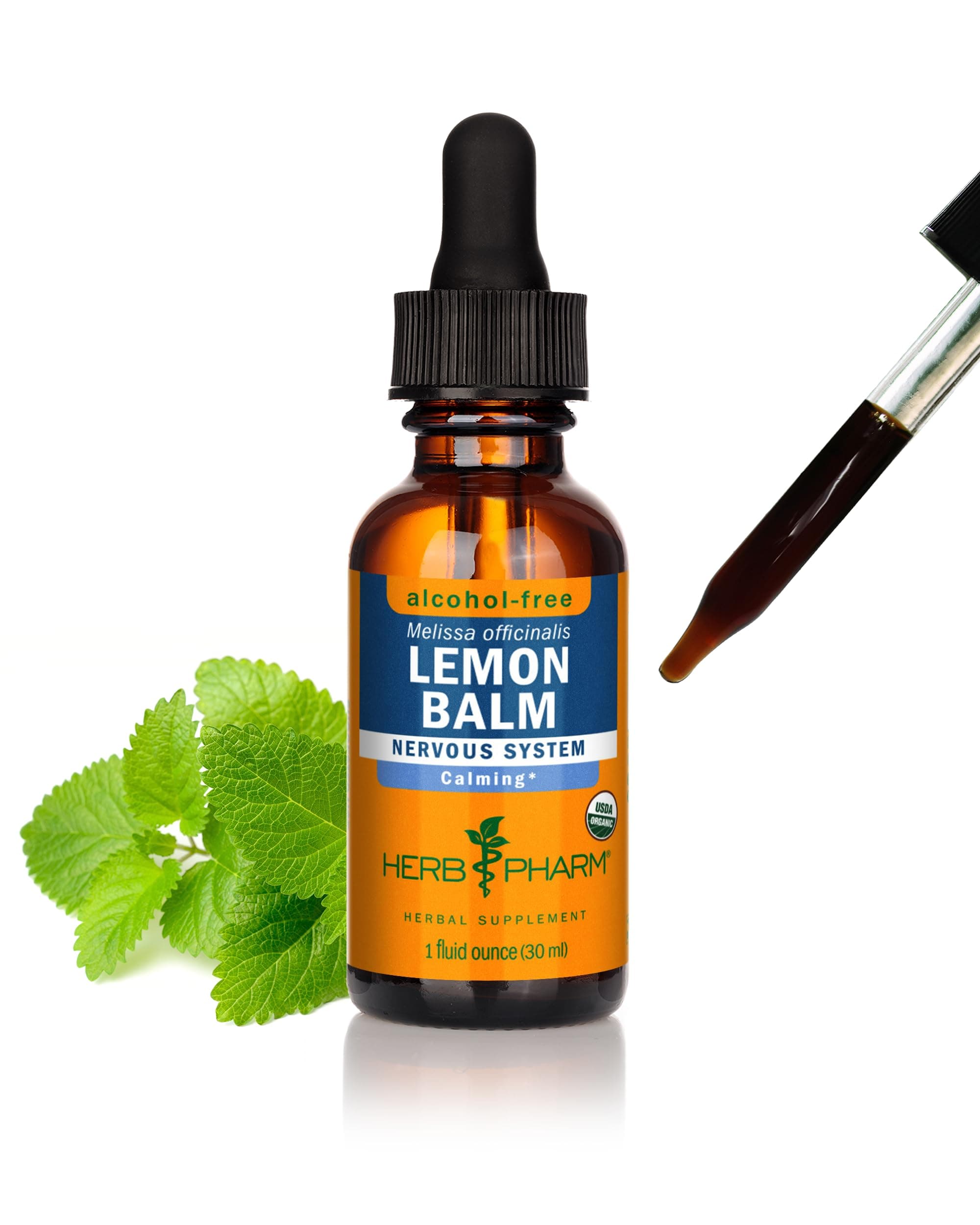 LEMON BALM GLYCERITE 1 OZ:01504
