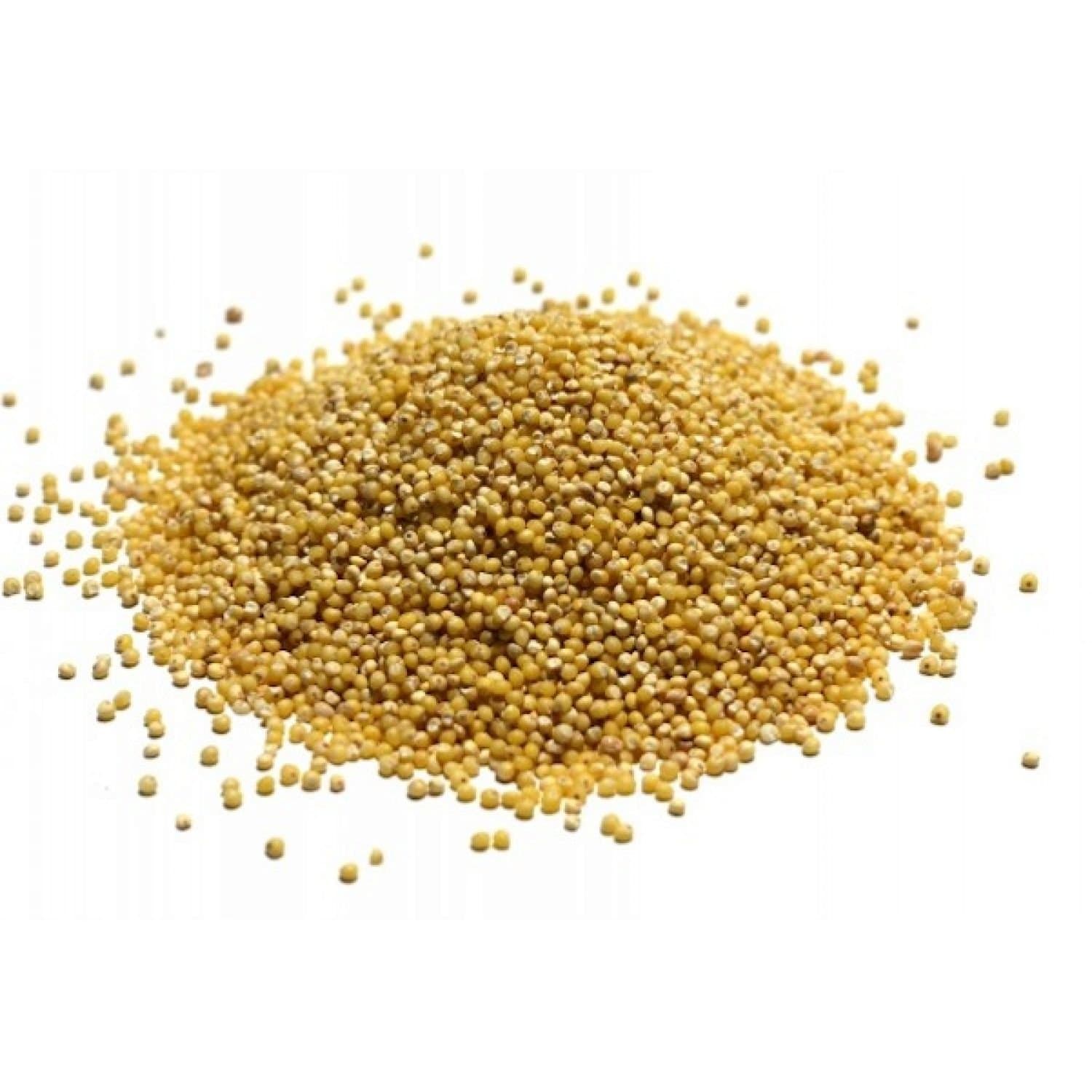 Bulk Grains 100% Organic Millet Hulled - Single Bulk Item - 25LB