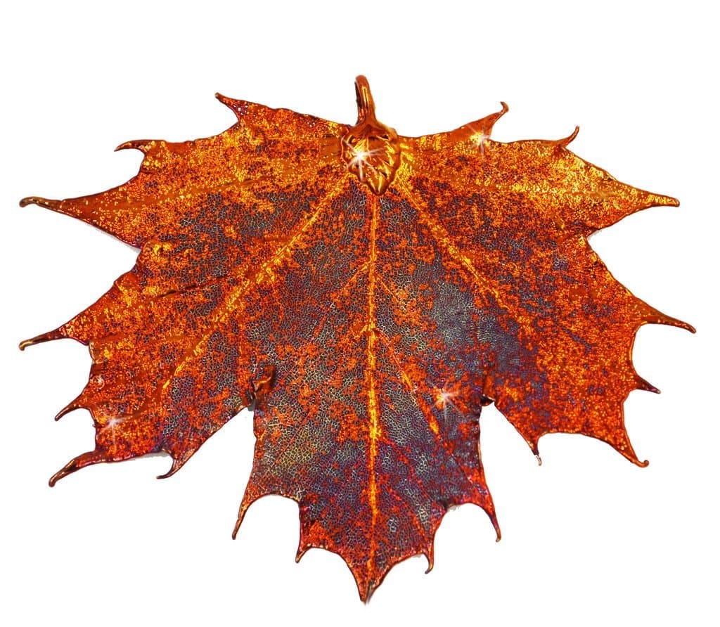 Arborvita Real Leaf Brooch - Maple Leaf in Iridescent Copper.