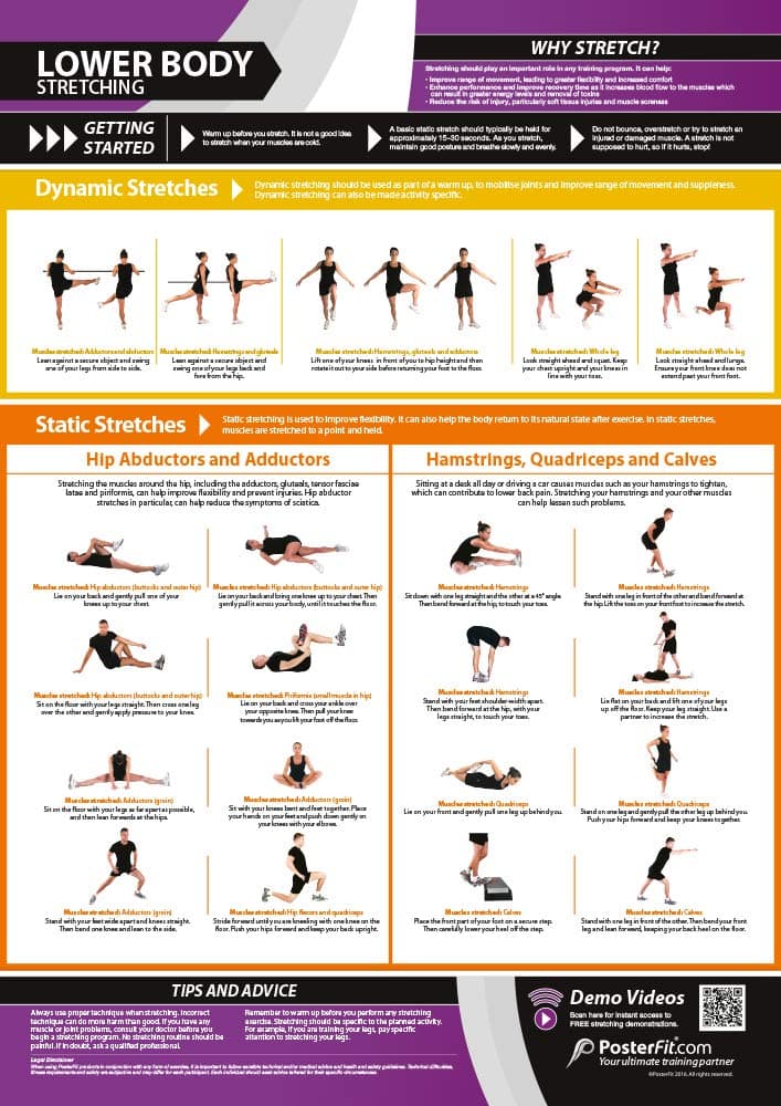 Lower Body Stretching | Dynamic & Static Stretches | Laminated Home & Gym Poster | FREE Online Video Training Support | Size - 594mm x 420mm (A2) | Improves Personal Fitness & Flexibility
