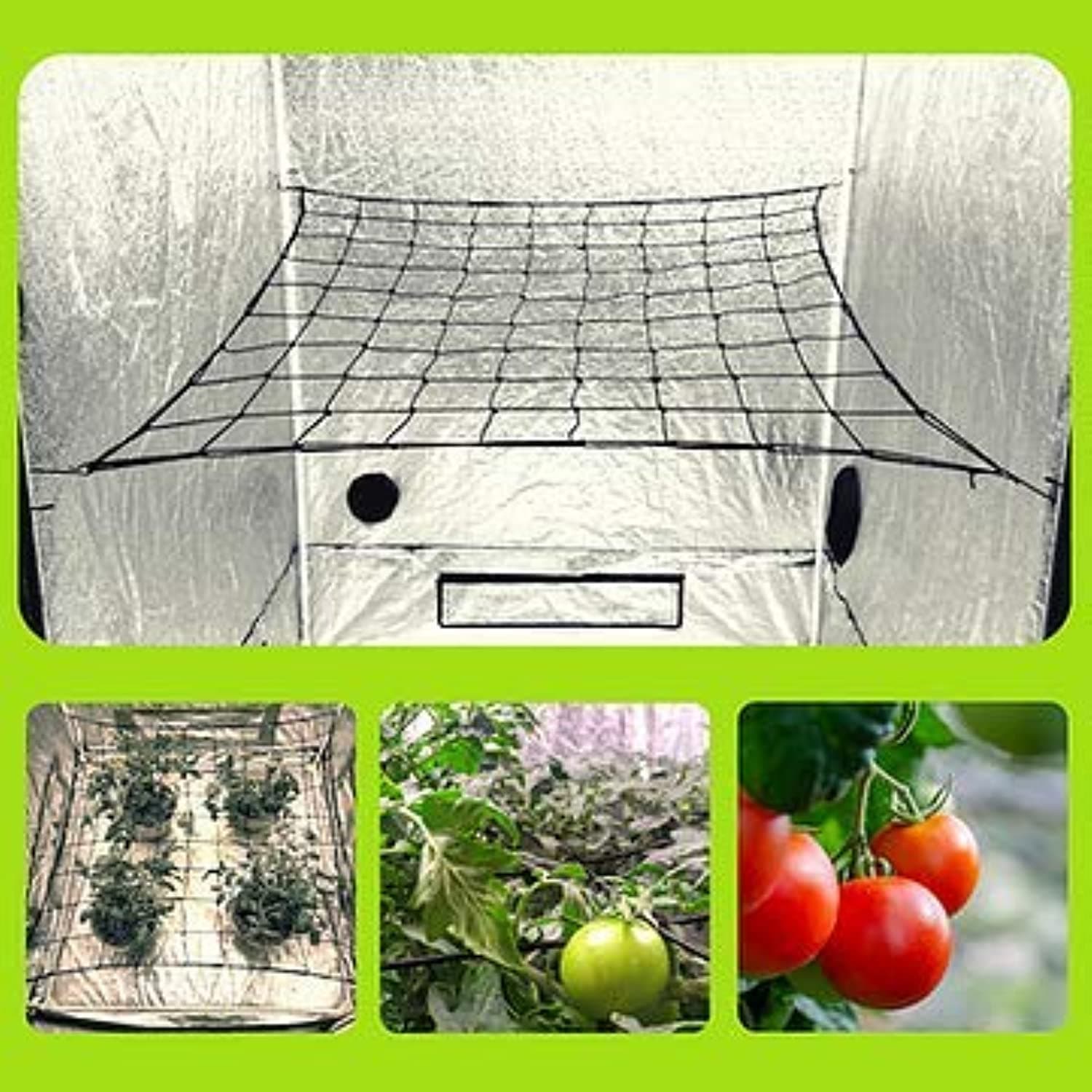 Single Layer Grow Tent Trellis Net for 4x4/5x5 & 4x2 Grow Tents