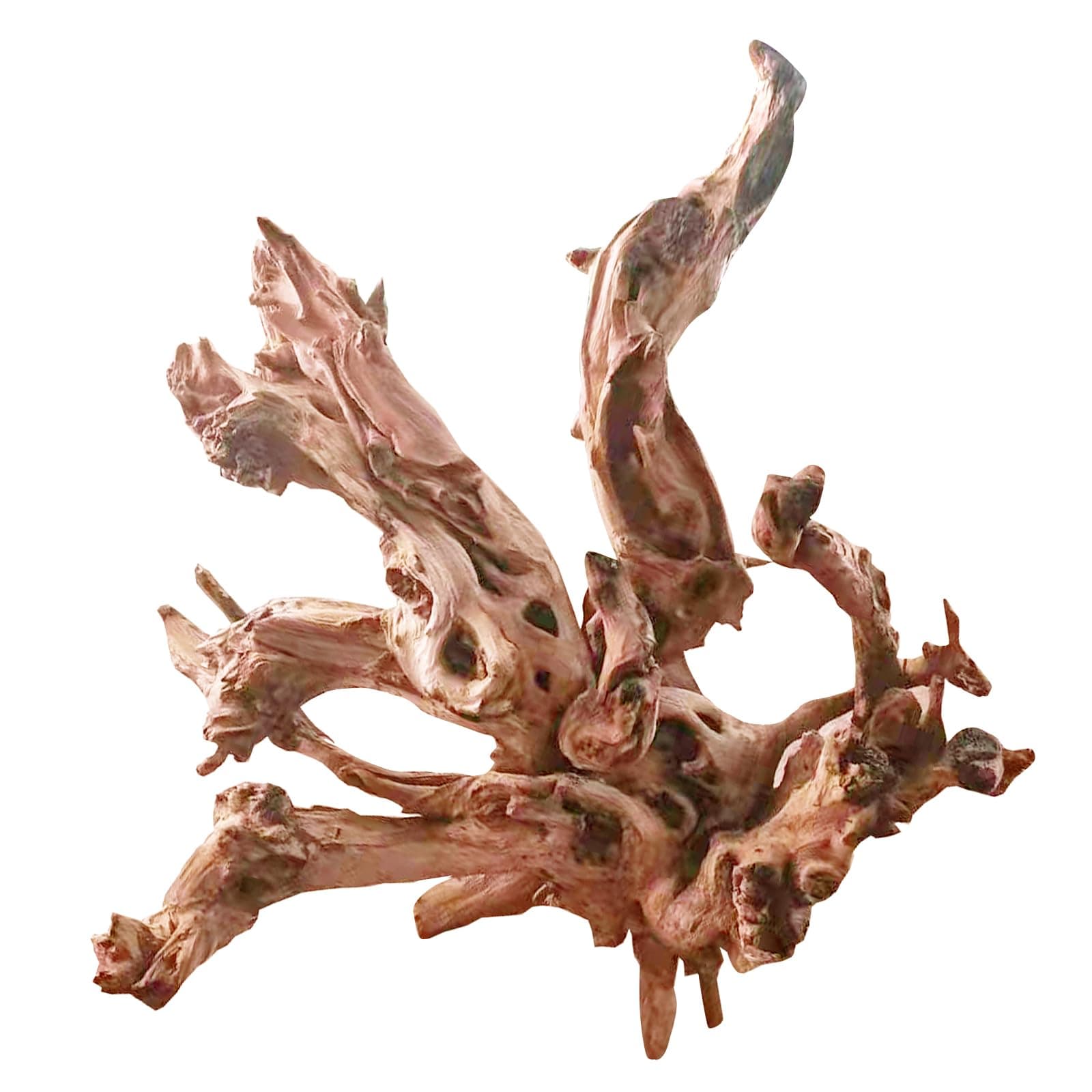 天然大型サンゴ流木 水槽装飾 爬虫類装飾 流木の枝詰め合わせ 13-16インチ 1パック