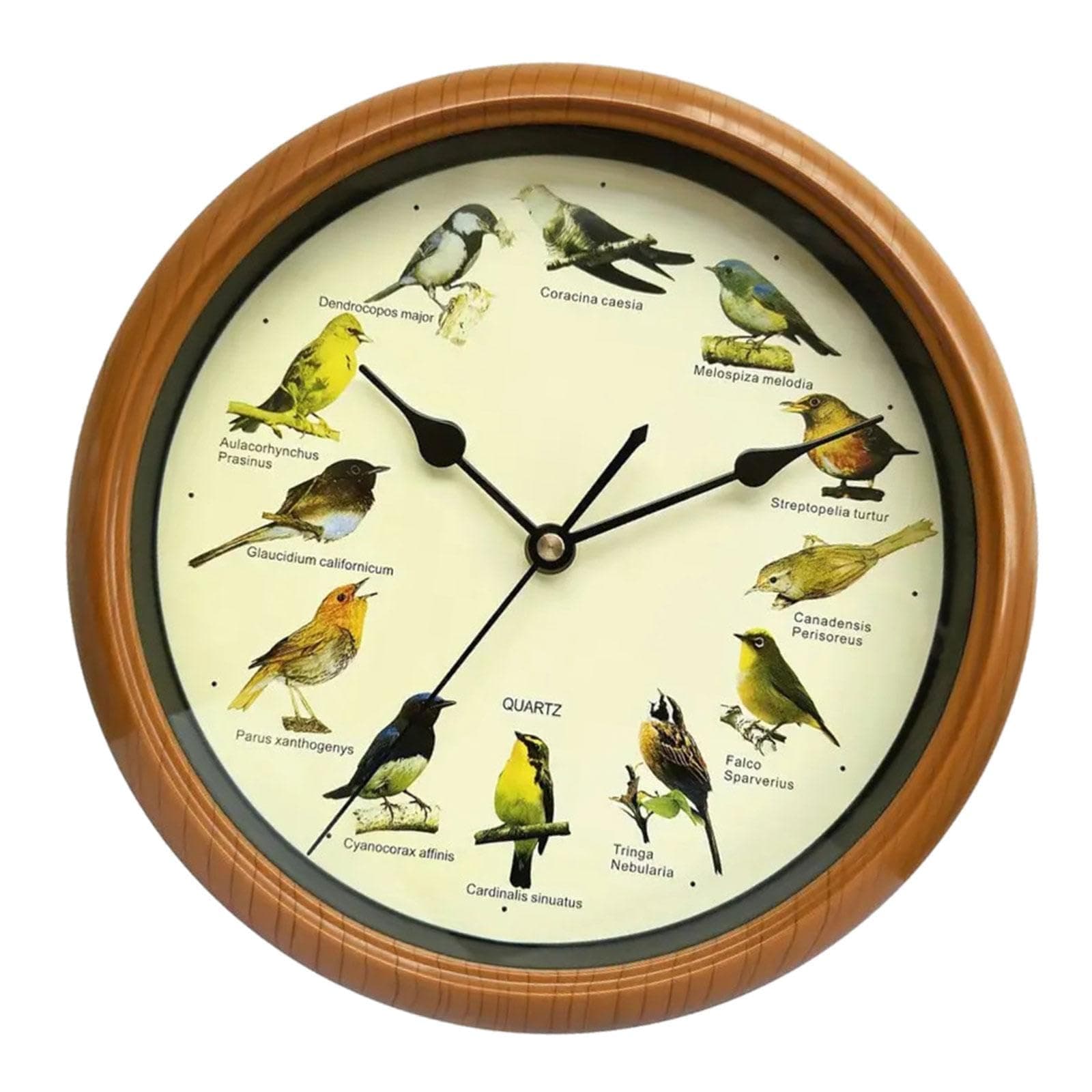 Bird Wall Clock Bird Clock with Sound that Sings on Hour,Silent Wall Hanging Clock,Decorative Wall Clock for Home Office