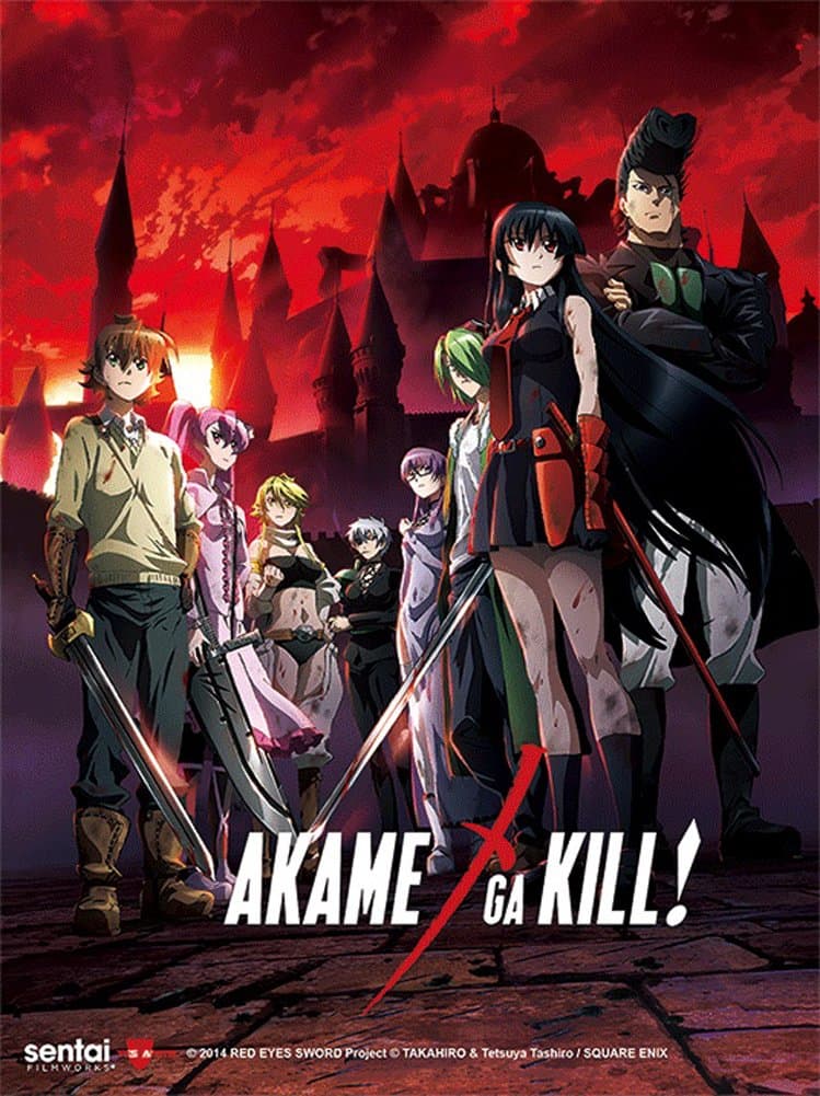 Akame Ga Kill 3D Lenticular Wall Art Poster With Frame