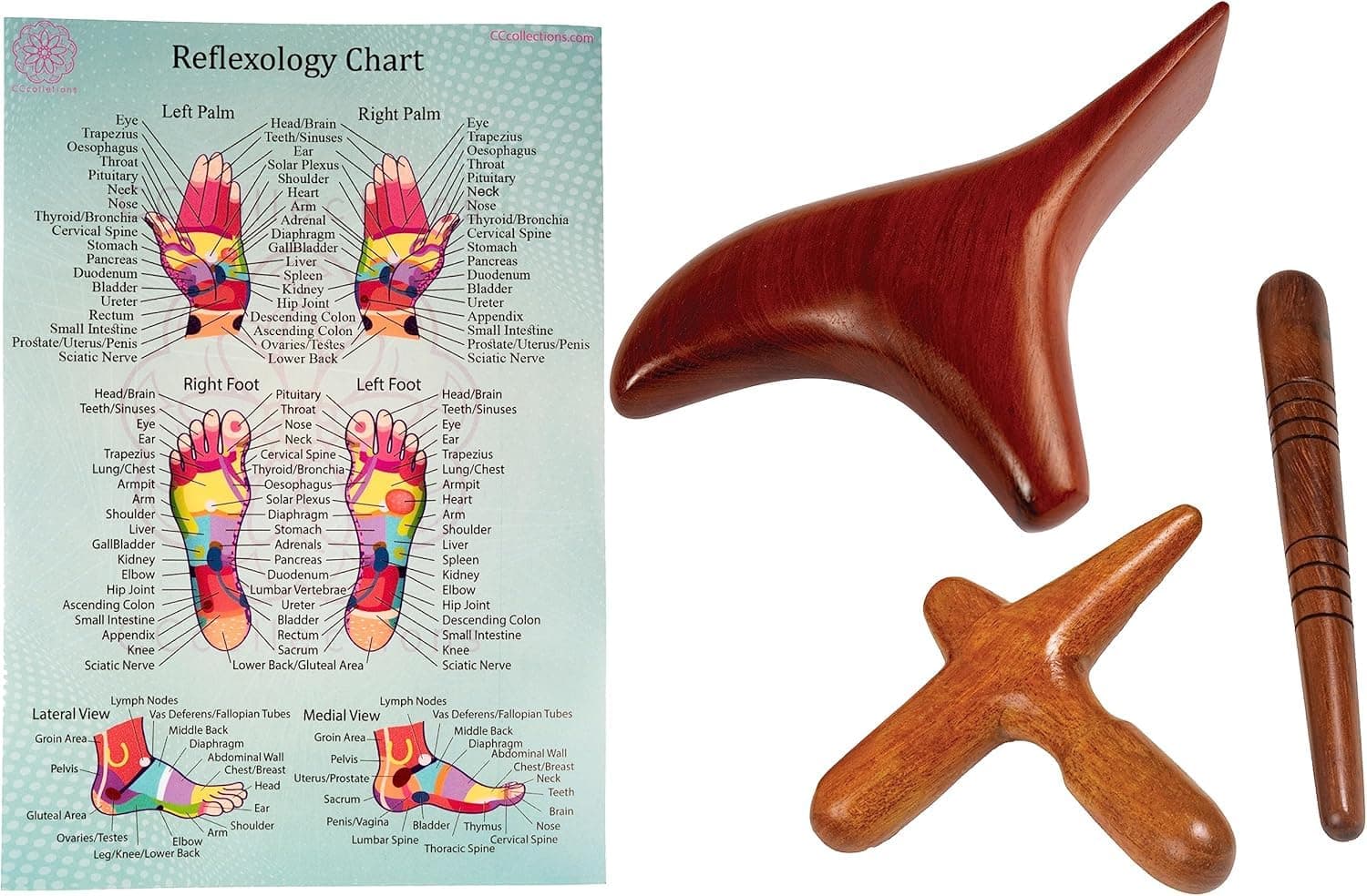 CCcollections Massage toolsets with Chart for Professionals Foot Hand Massage Wooden Stick Reflexology (English, Set F (Bird))