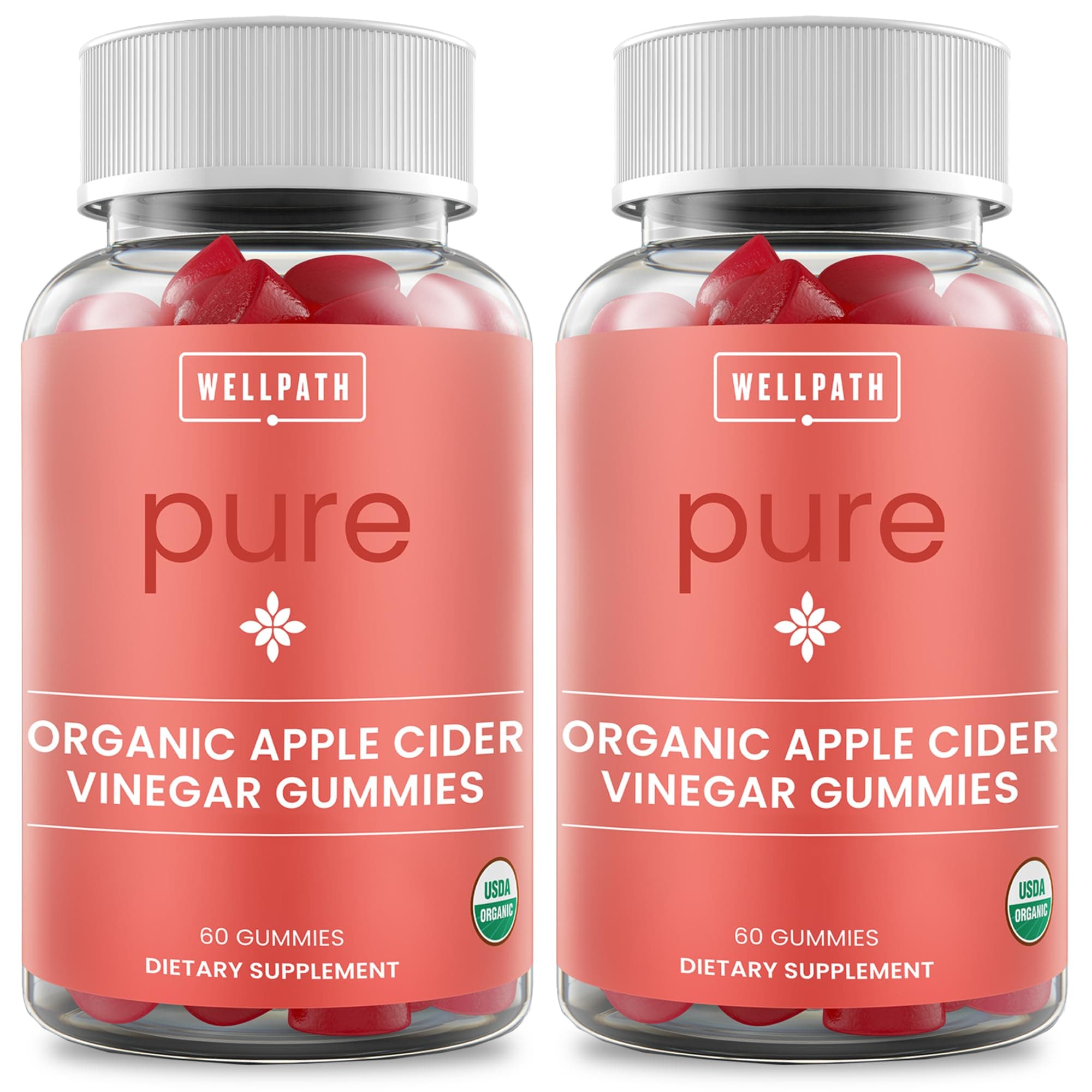 WellPath Pure ACV Gummies (2 Pack) - Apple Cider Vinegar with Mother - USDA Organic Gummy with Ginger for Gut Health | Vegan, Non-GMO, 120 Ct