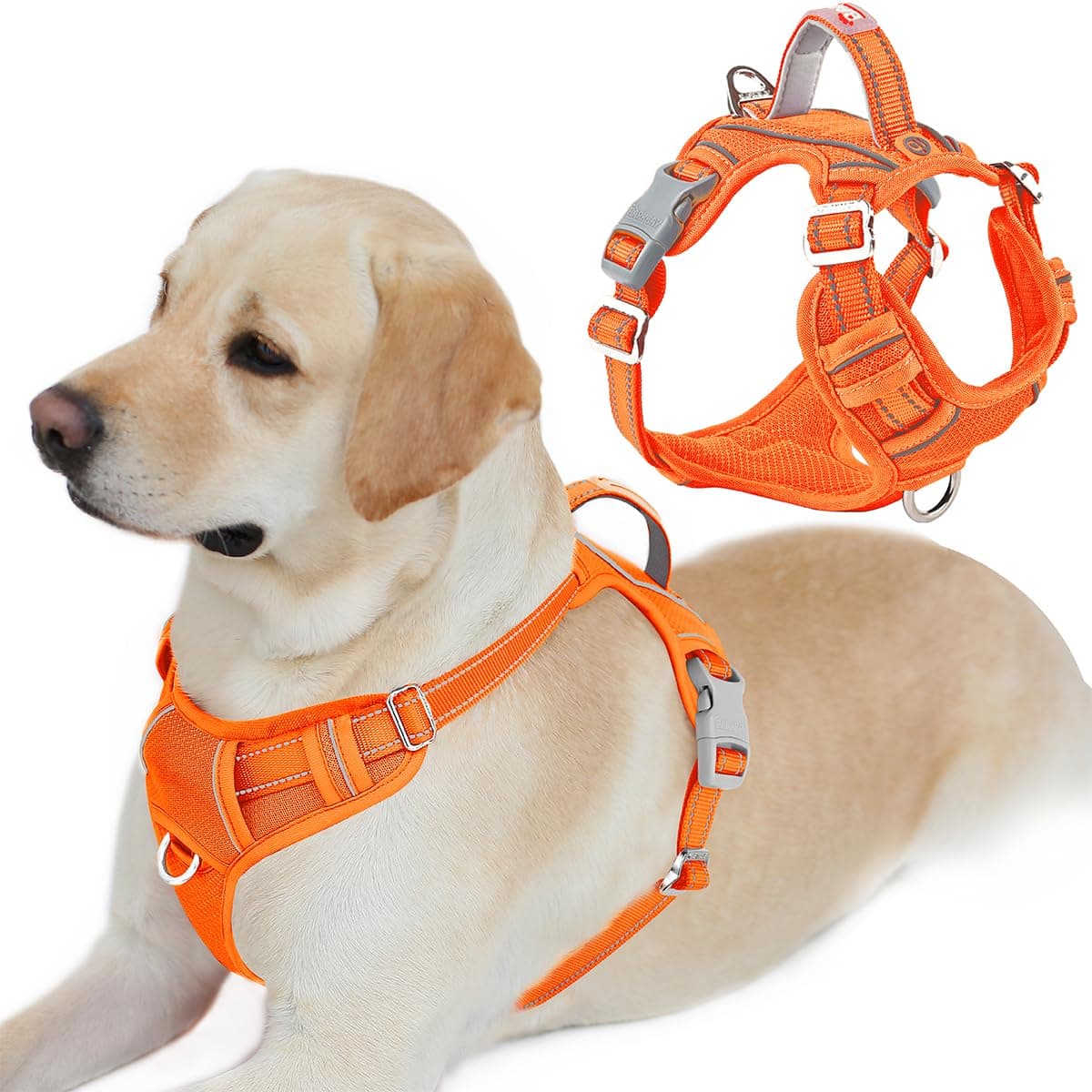 BARKBAY Dog Harness No Pull with ID Tag Pocket - Heavy Duty, Reflective, Easy Control for Large Dogs(Orange,L)