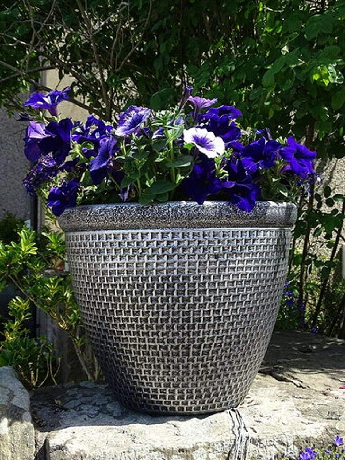 SG Traders 2 X Large Plastic Round Cromarty Plant Pots Flower Pot Planter Garden Decoration Antique Silver 30cm Plant Pot Outdoor Flower Pots Outside Garden Planters Outdoor With Drainage Holes