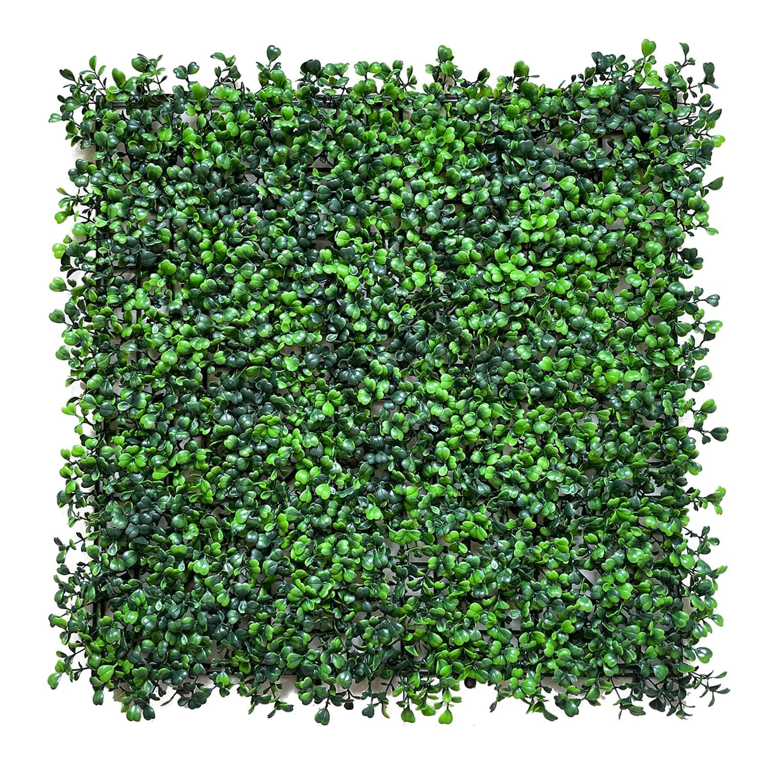 LACKINGONE 12PCS 20x20 inch Artificial Grass Wall Backdrop, Fake Green Plant Wall Decor, Faux Boxwood Hedge Privacy Screen, Greenery Living Wall Panels UV Protected for Indoor Outdoor Garden Fence