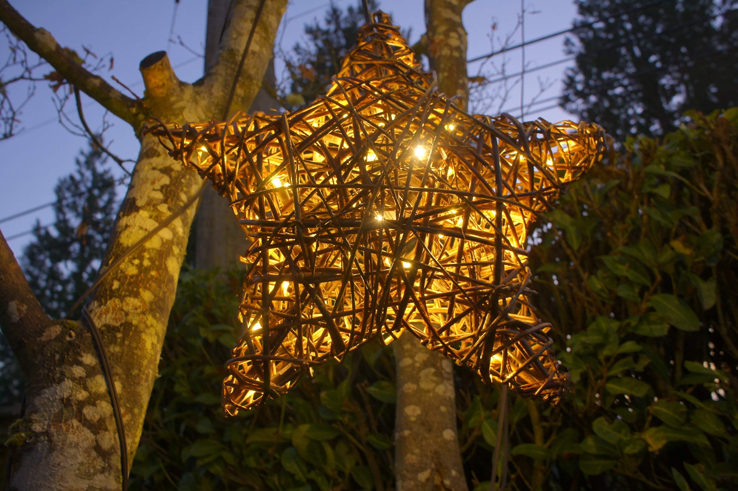 Star (16"), Willow Branch with 50 LEDs, Christmas Tree Topper, Holiday Tree top