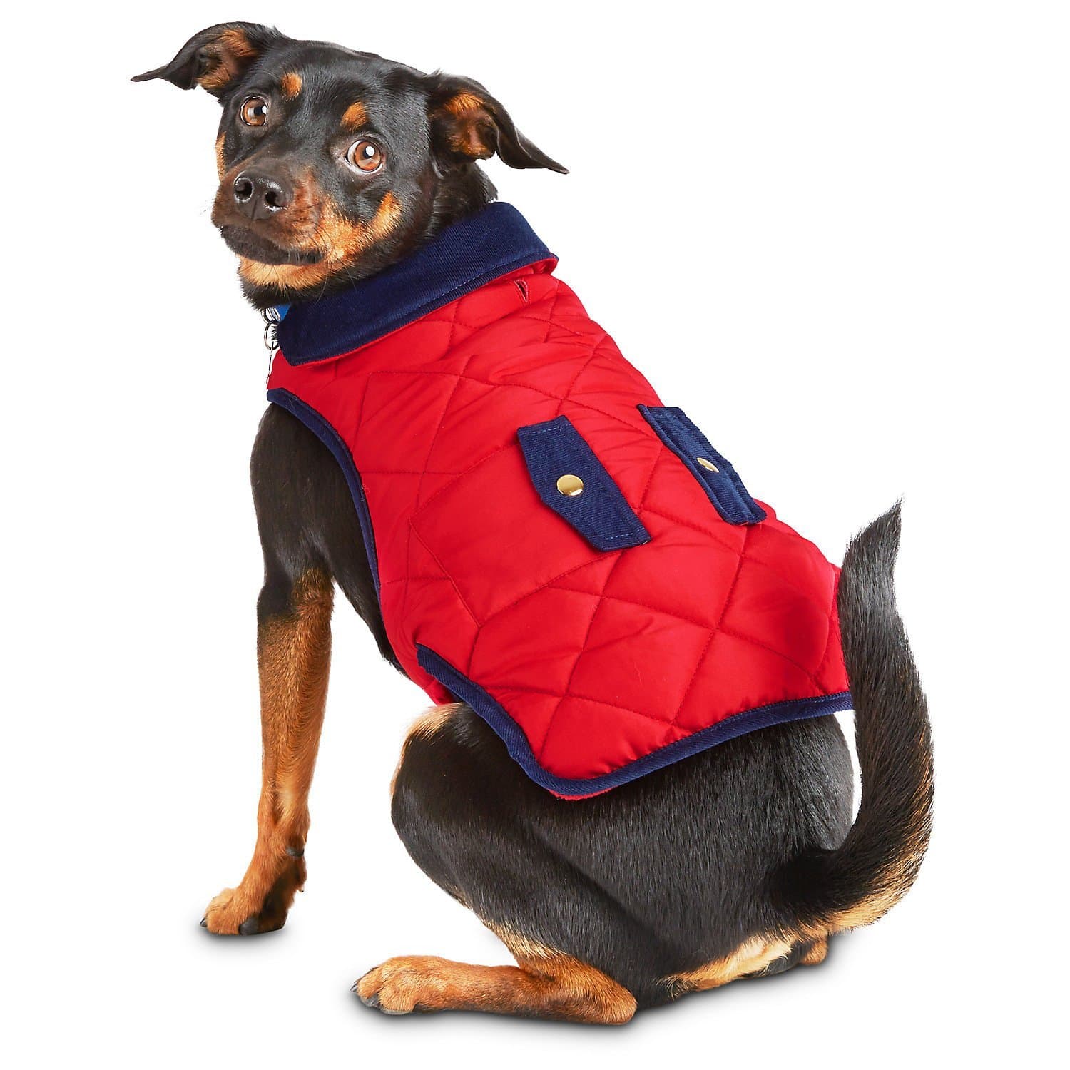 Pup Crew Red Quilted Dog Jacket~XX-Small~