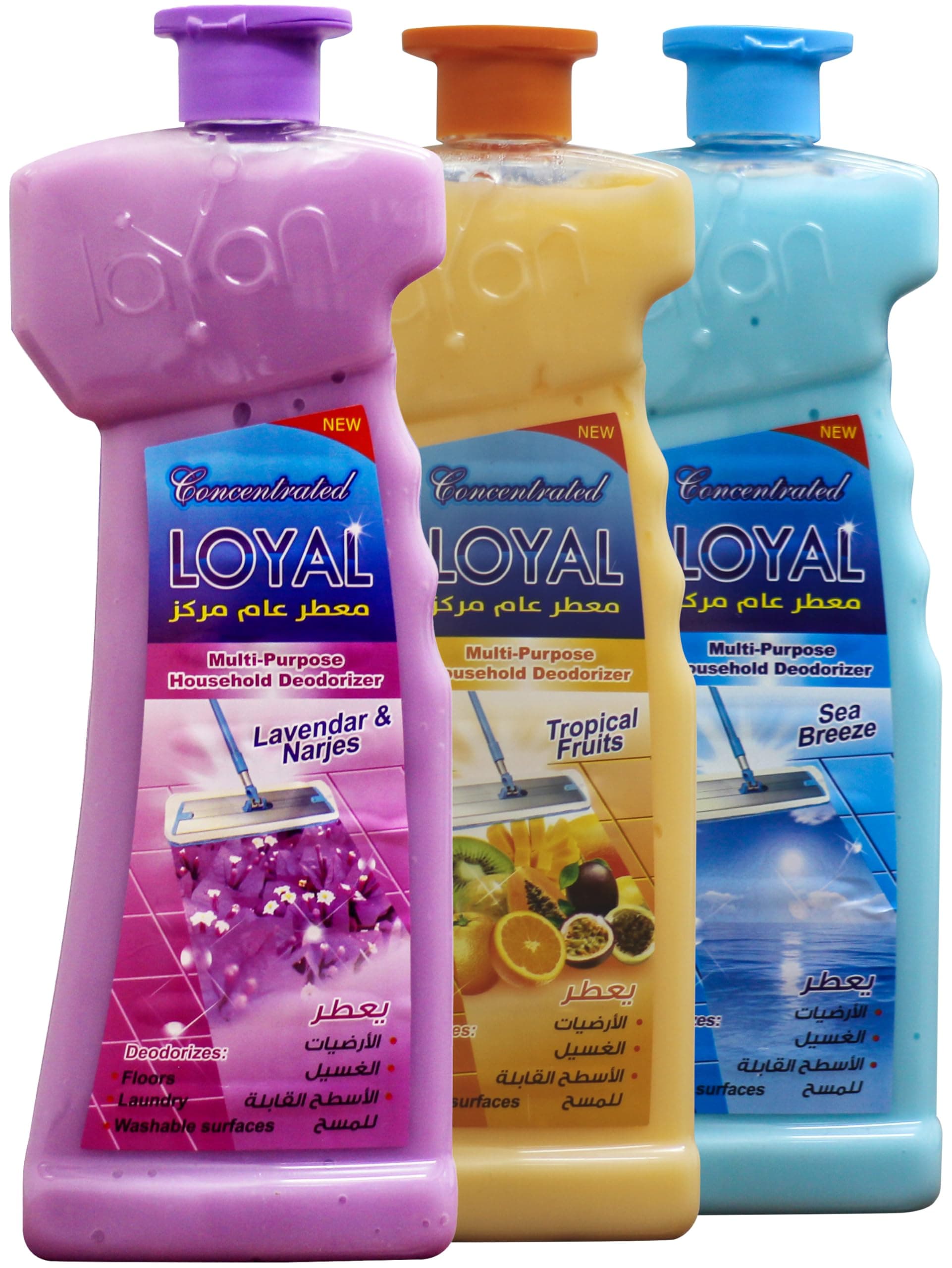 Loyal Concentrated Multi-Purpose Deodorizer with Sea Breeze Scent and Tropical Fruits and Lavender & Narjes - 700 ml X 3, Pack of 3 products