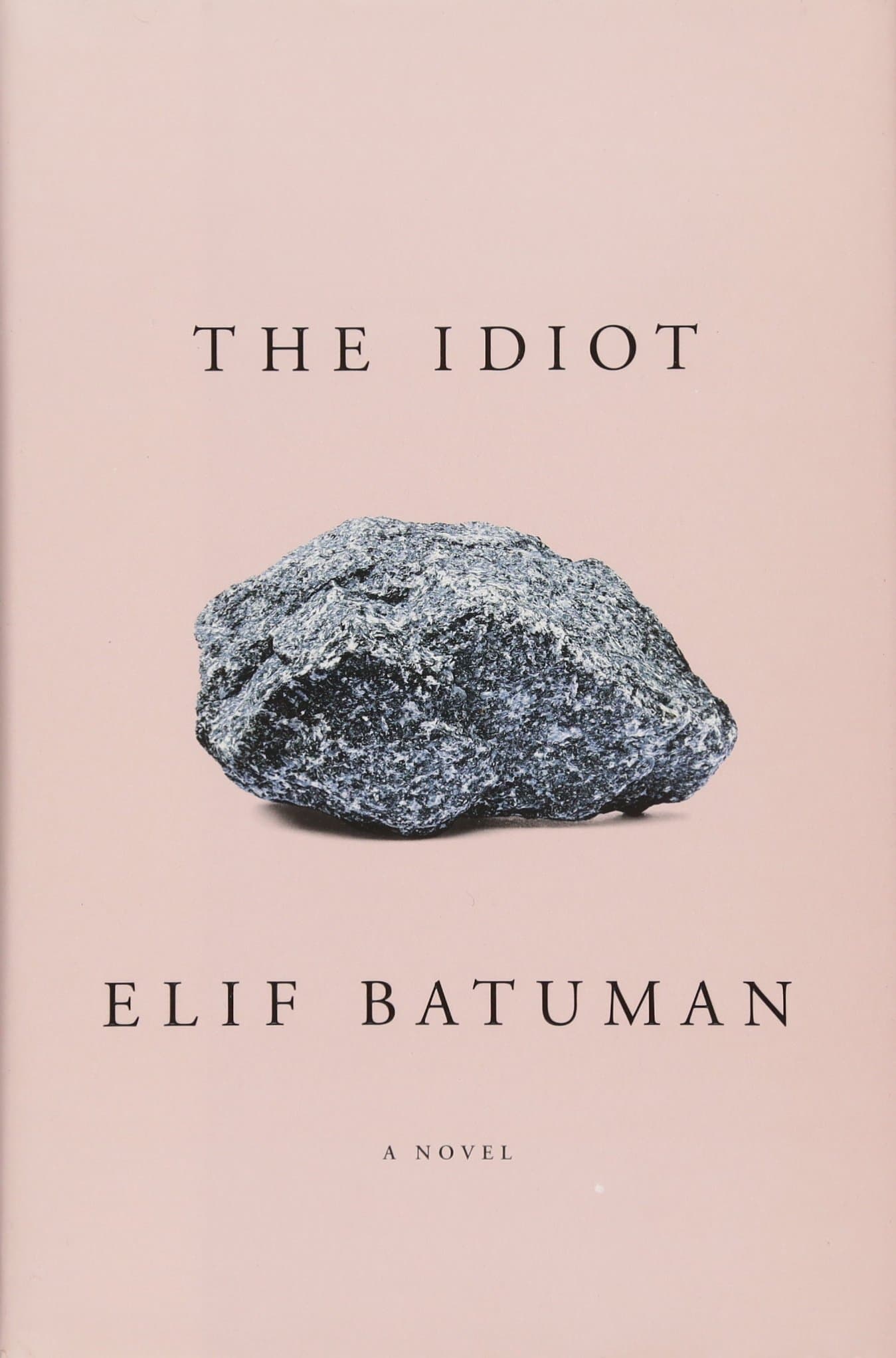 The Idiot Hardcover – March 14, 2017