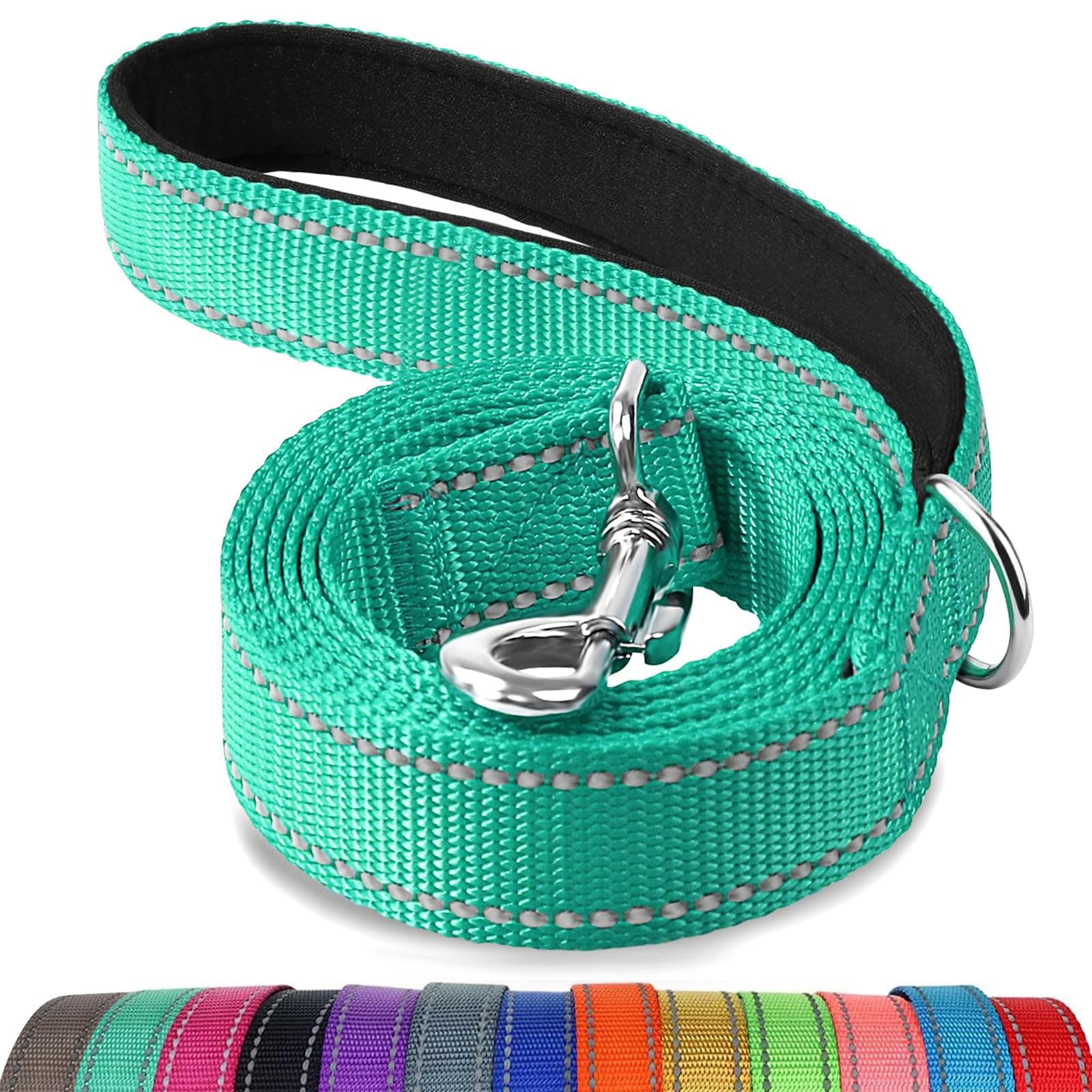 Joytale Padded Handle Dog Lead, Double-Sided Reflective Nylon Leads for Training, Walking Leash for Small, Medium Dogs, 1.8m × 2cm, Teal