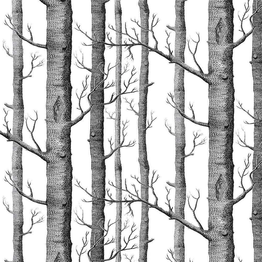 Akea Modern Birch Tree Wallpaper Roll, Black and White Forest Trunk, for Living Room , Bedroom, TV Background etc, Size 20.8inch x 32.8ft, 57 sq.feet