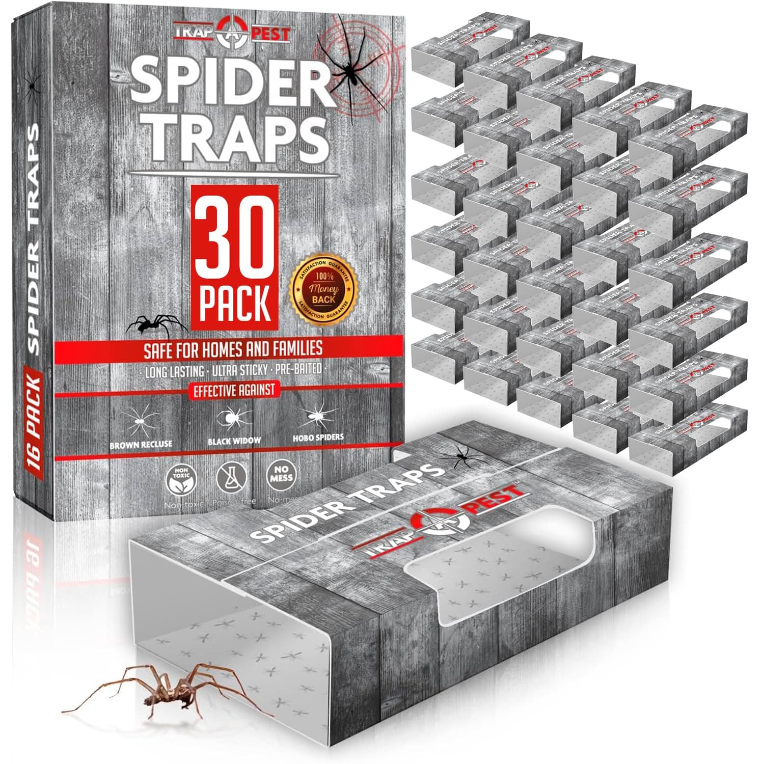 Spider Traps for Inside Your Home (30 Traps) - Spider Catcher Insect Traps Indoor - Spider Traps Indoor Bug Traps Sticky Traps for Spiders - Pre Baited Ultra Sticky Insect Glue Traps - Trap a Pest