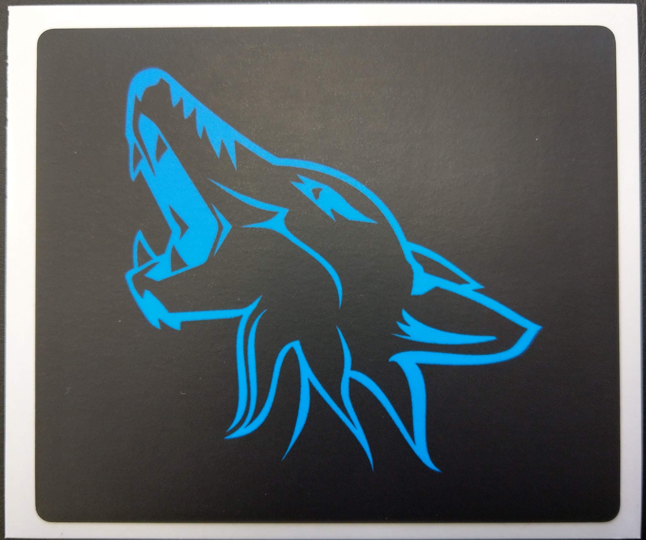 Sun Visor Warning Label Blackouts fits 2015-2019 Ford Mustang - Blue Coyote