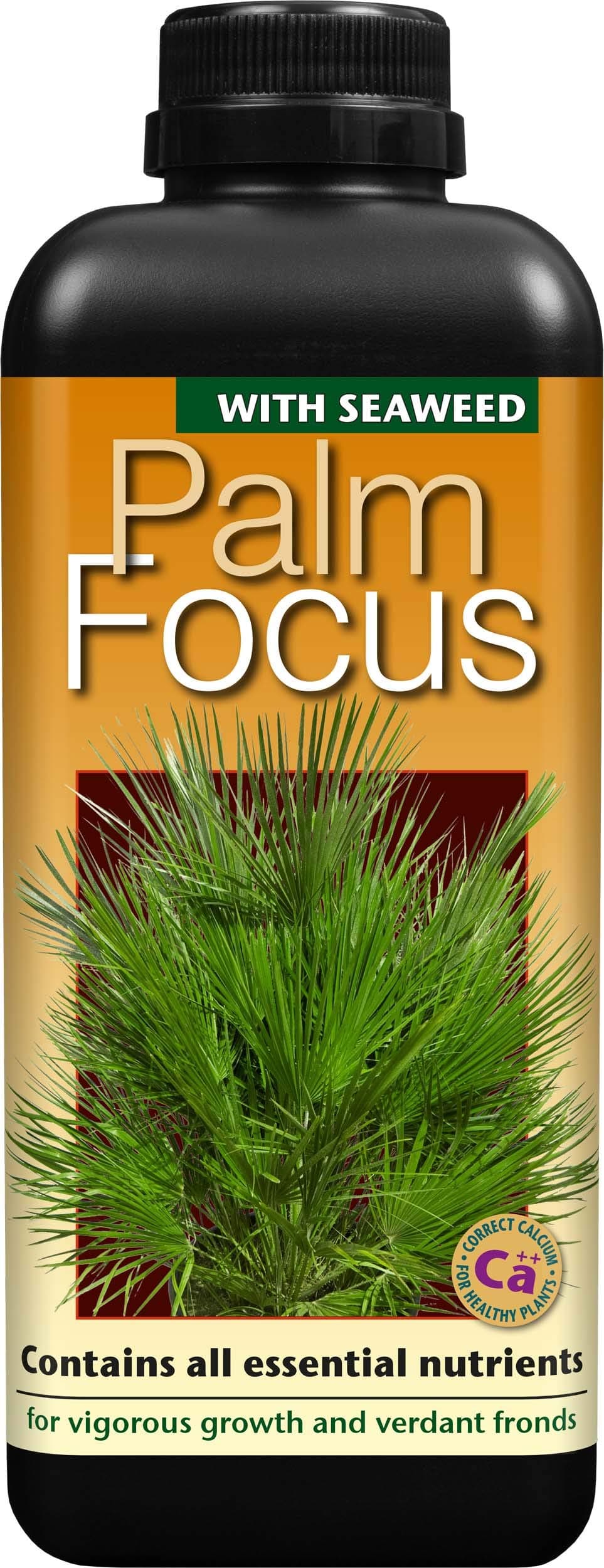Palm Focus Concentrated Liquid Fertiliser, 1 litre - For Indoor and Outdoor Palms - Professional Grade Plant Food Concentrate with Kelp Seaweed Extract - Makes 200L Feed
