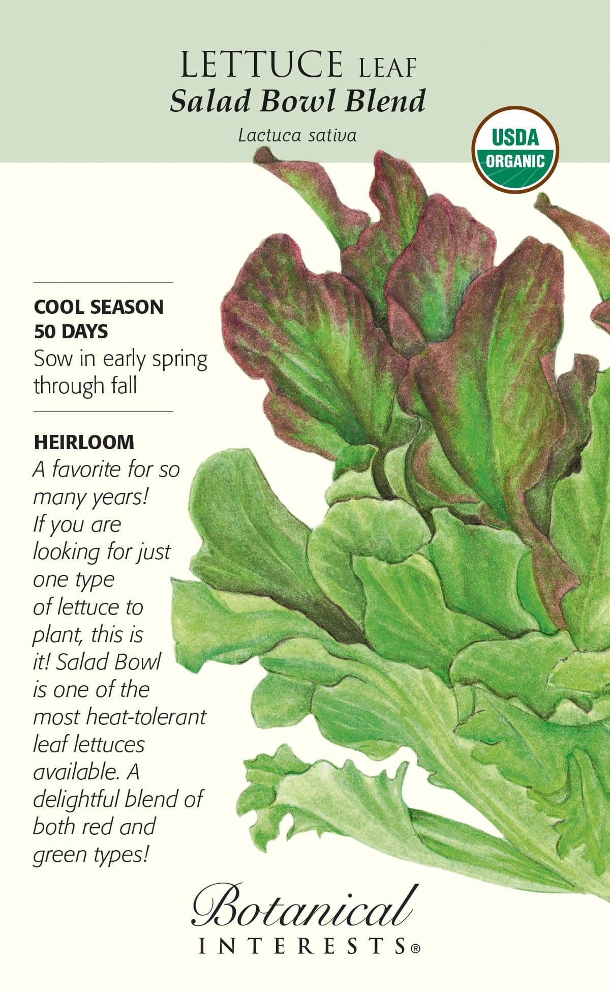 Botanical Interests, Seed Lettuce Leaf Salad Bowl Blend Organic