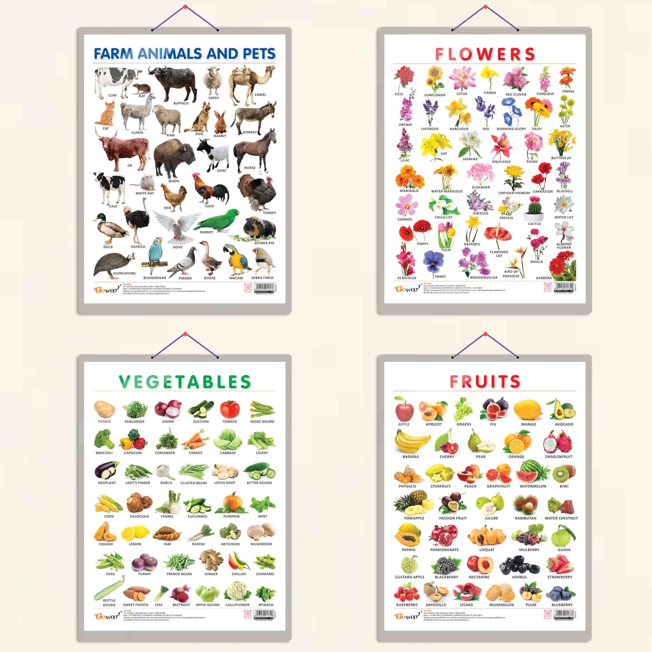 GO WOOFRUITS CHART HARD LAMINATED, FLOWERS CHART HARD LAMINATED, FARM ANIMALS AND PETS CHART HARD LAMINATED, and VEGETABLE CHART HARD LAMINATED | combo of 4 charts | Durable Botanical and Fauna Guide