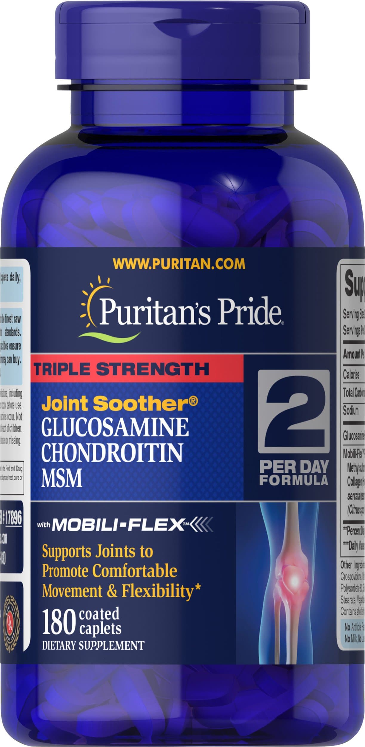 Glucosamine, Chondroitin & MSM-2 Per Day Formula