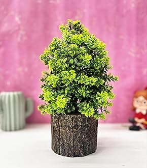 Dekorly Small Artificial Bonsai Tree Fake Plant Potted House Plants Japanese Pine Bonsai Plant Faux Bonsai for Home Indoor Decoration Office (Wooden Potted Plants, Design-A)