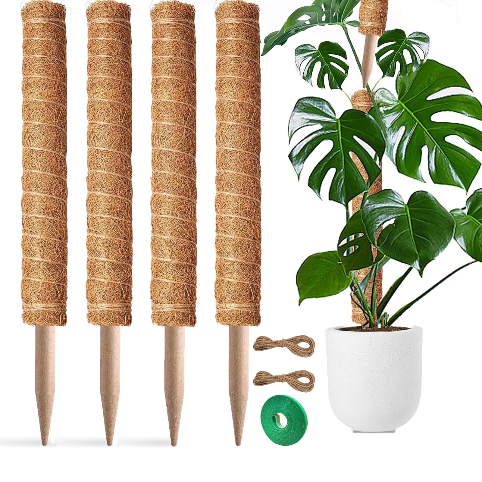 4pcs 17 Inch plant support for climbing plant indoor