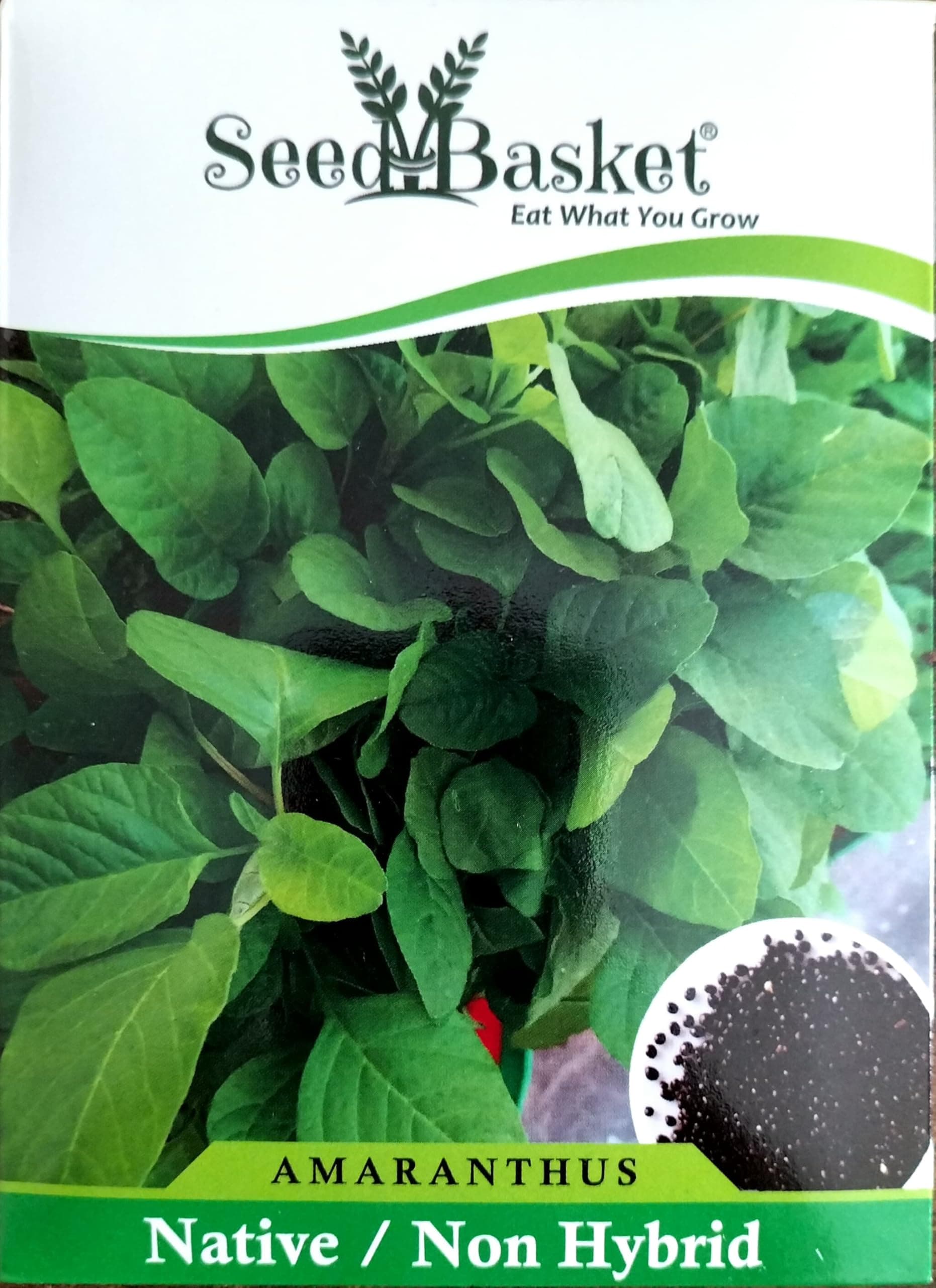 Native/Non-GMO Amaranthus/Thotakura Seeds for Home Kitchen and Vegetable Gardening | 1500 Seeds | Best in Germination | Free Growing Instruction Manual (Pack OF 1)